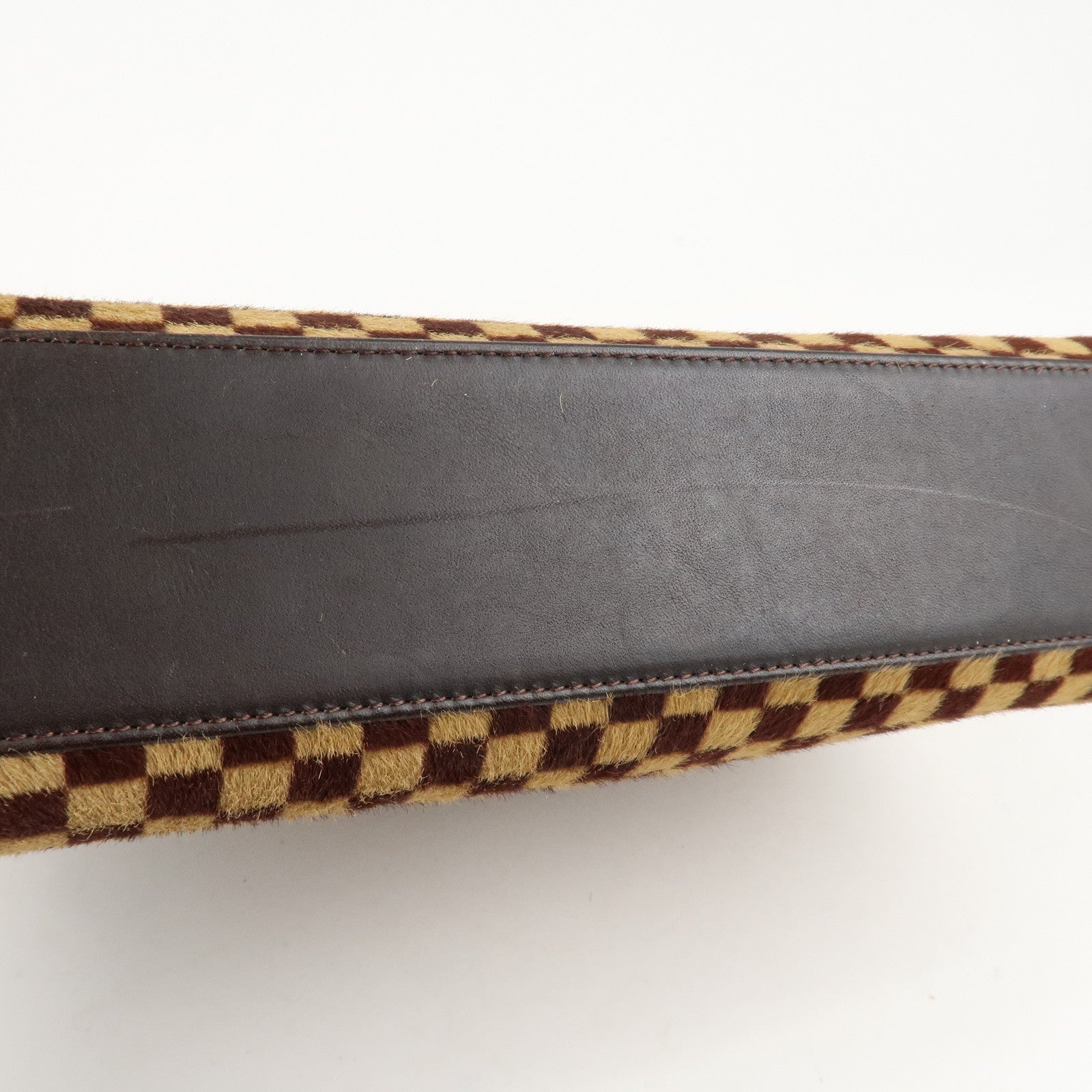 Louis Vuitton Damier Sauvage Lion Hand Bag Beige Brown M92131 Used