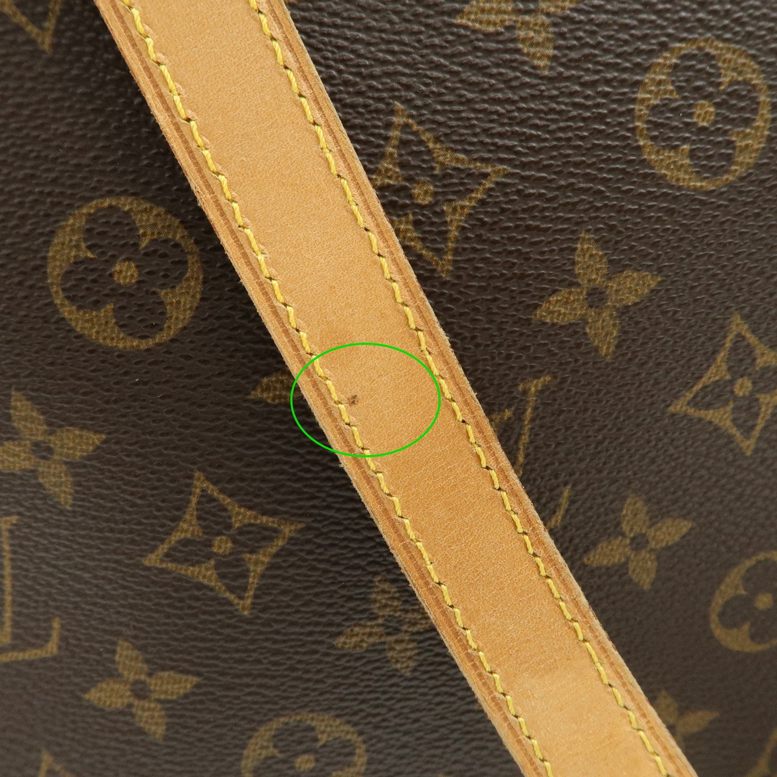 Louis Vuitton Monogram Luco Tote Bag Hand Bag Brown M51155 Used