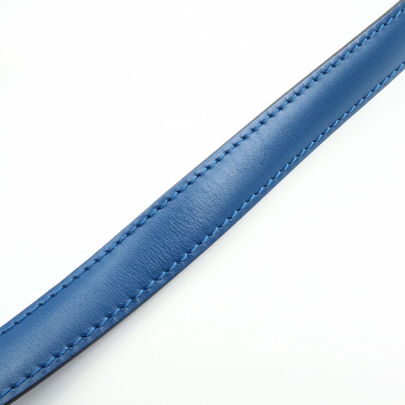 Louis Vuitton Epi Capucines Leather Shoulder Bag Toledo Blue M52345