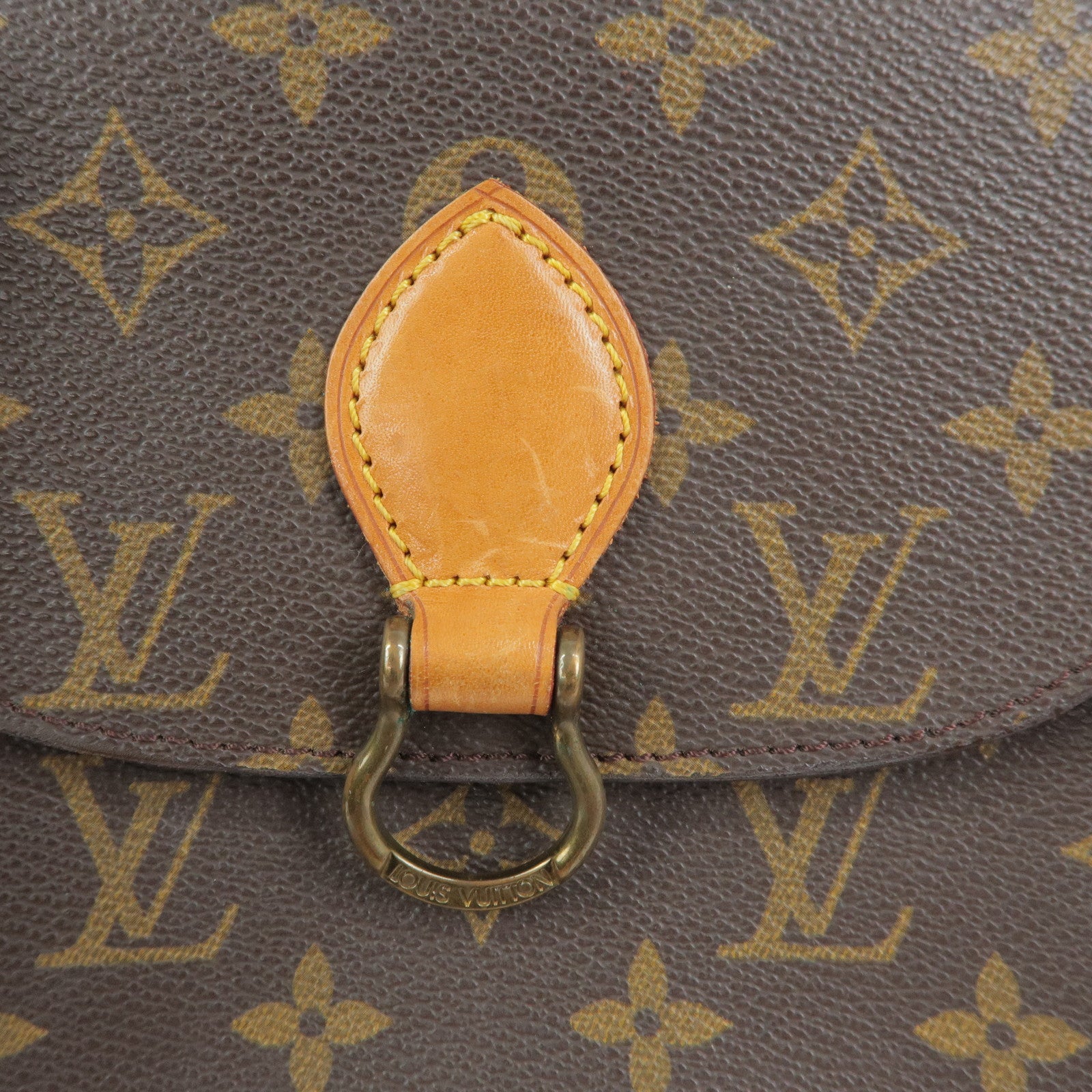 Louis Vuitton Monogram Mini Saint Cloud PM Shoulder Bag M51244