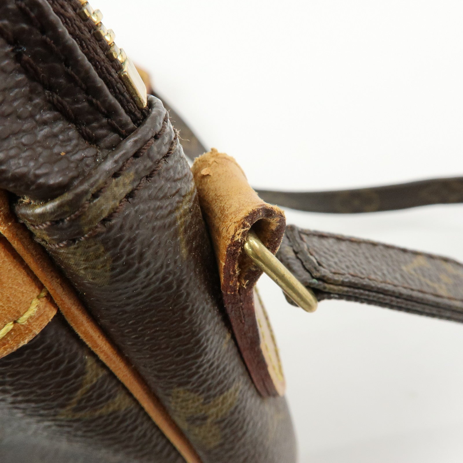 Louis Vuitton Monogram Danube Shoulder Bag Crossbody Bag M45266