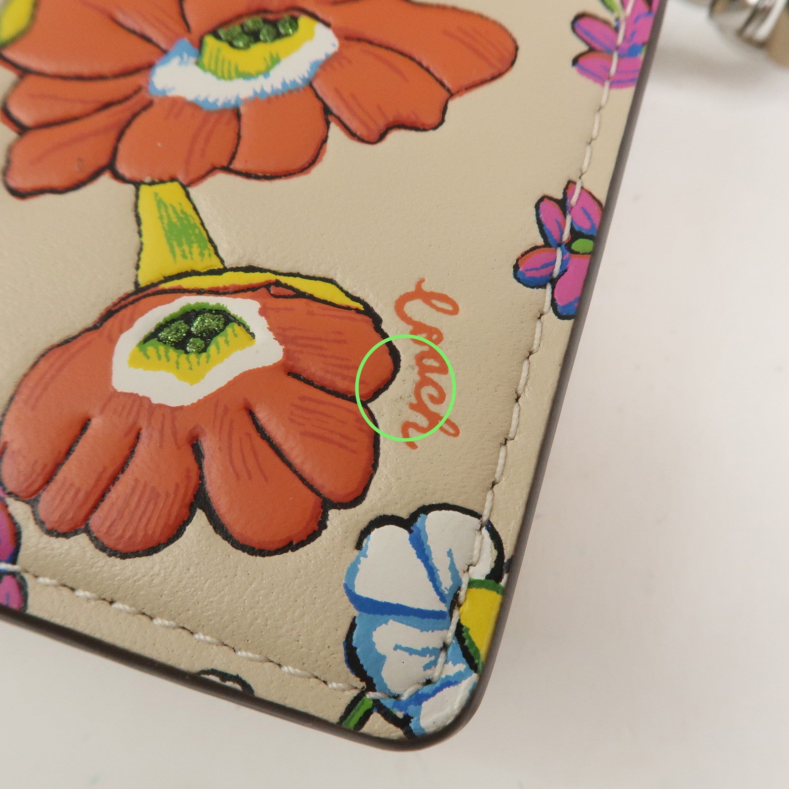 COACH Elaiza Leather Flap Crossbody Shoulder Bag Floral Print