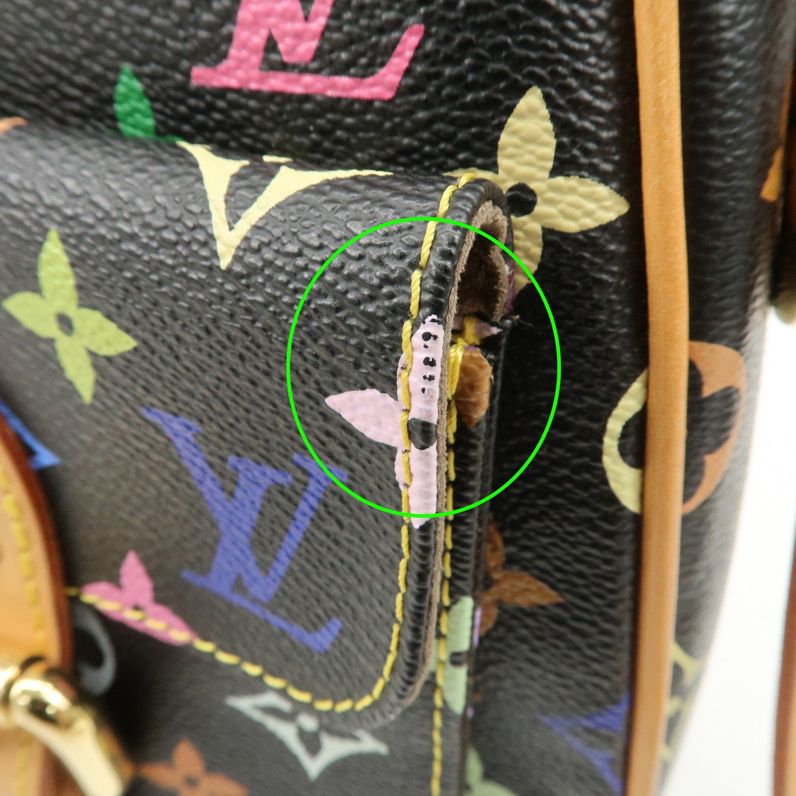 Louis Vuitton Monogram Multicolor Lodge GM Shoulder Bag M40052