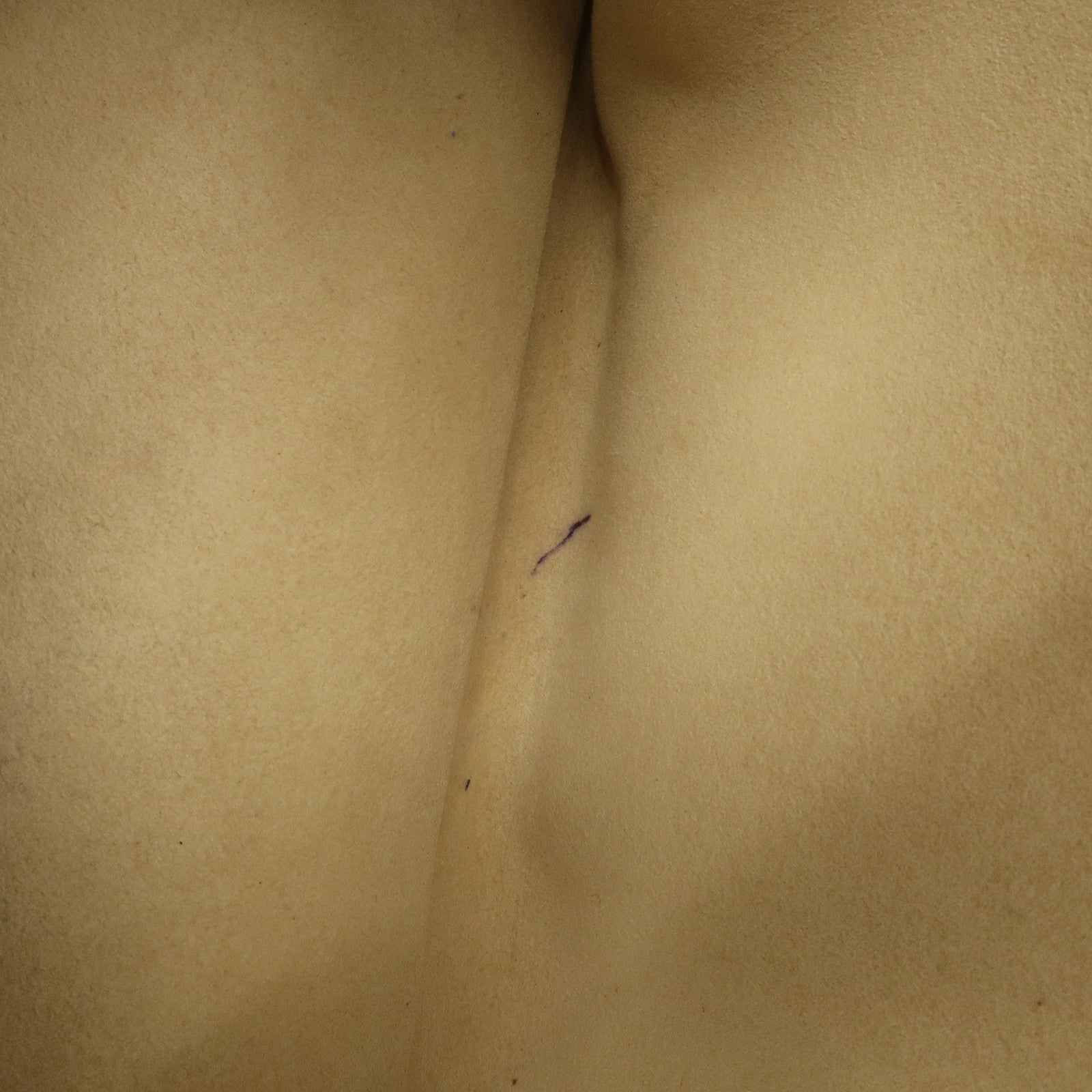 Louis Vuitton Monogram Manhattan GM Hand Bag M40025 Used