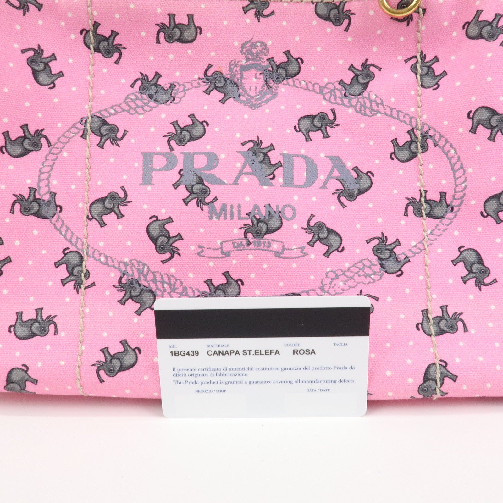 PRADA Canapa Mini Canvas Elephant 2Way Bag Shoulder Bag 1BG439