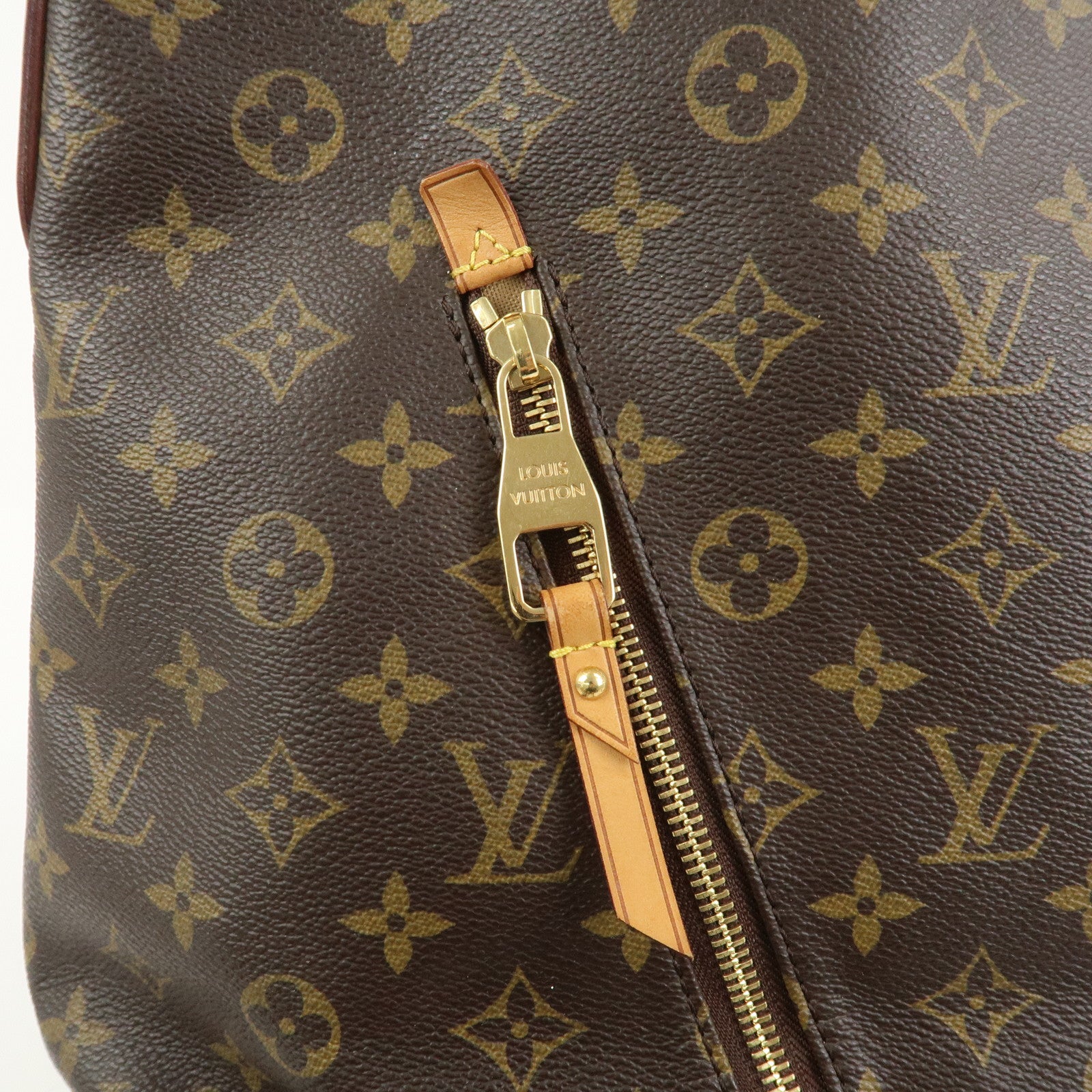 Louis Vuitton Monogram Delightful GM Shoulder Bag Brown M40354