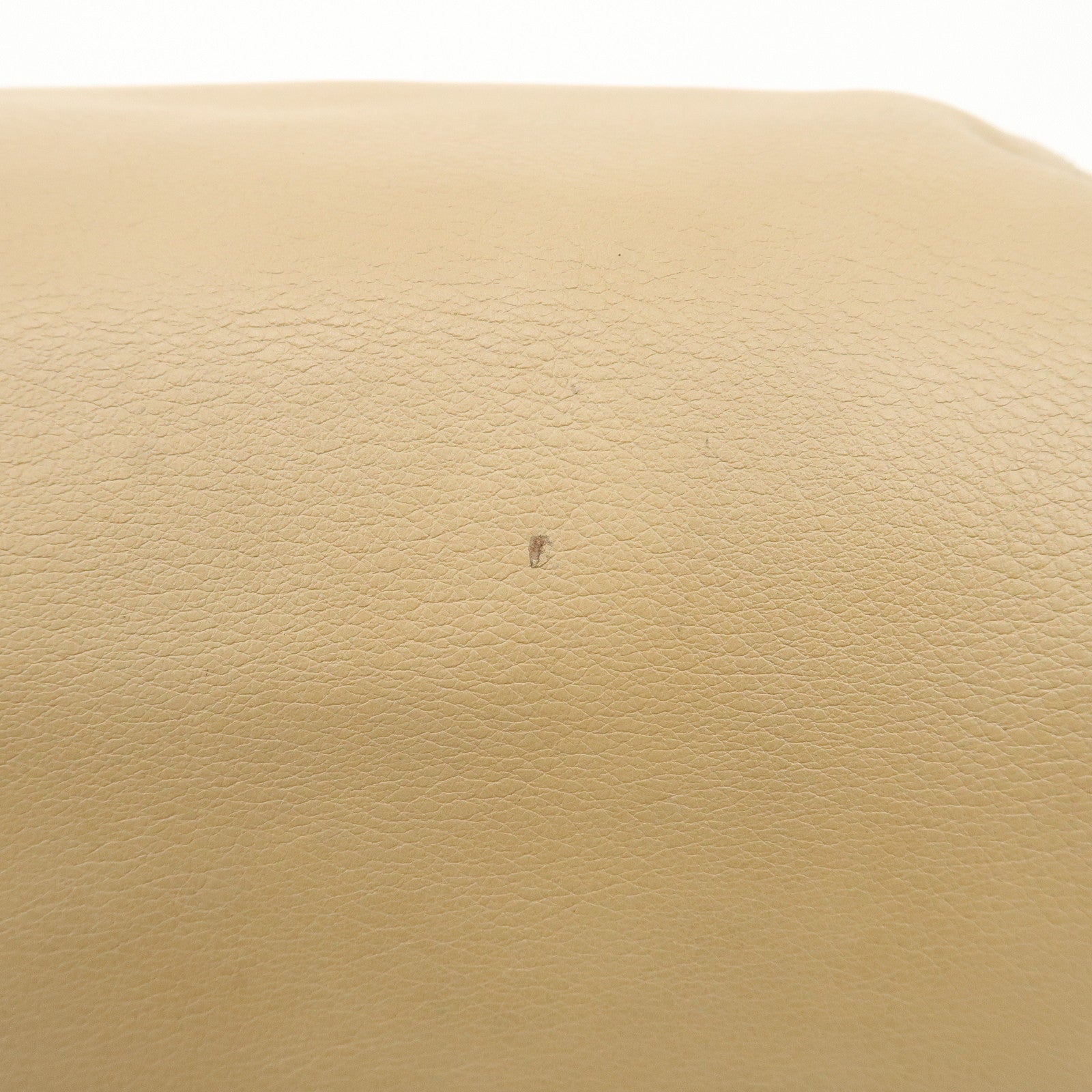 FENDI Chameleon Leather Enamel 2WAY Bag Beige Bordeaux 8BL114