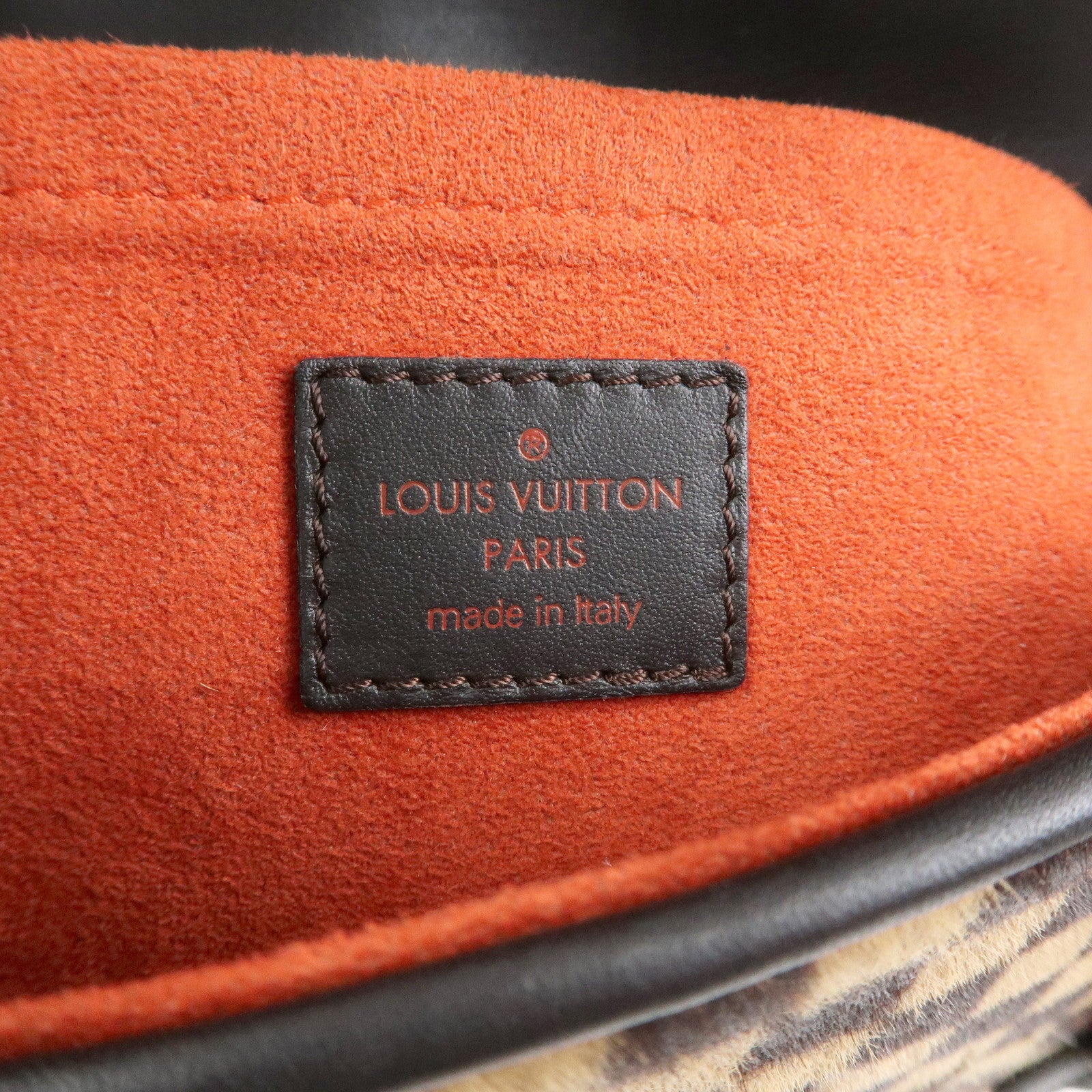 Louis Vuitton Damier Sauvage Lion Hand Bag Beige Brown M92131