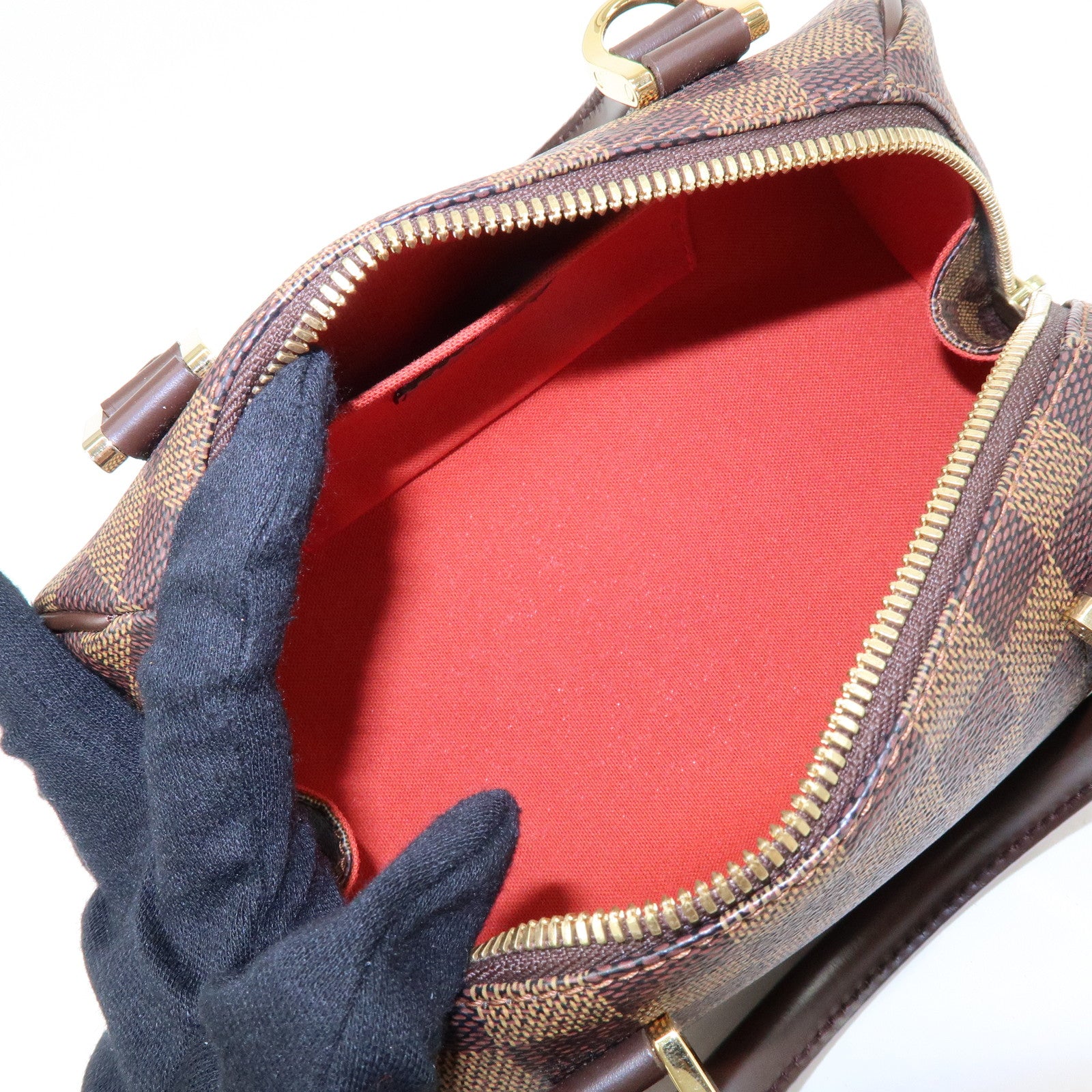 Louis Vuitton Damier Ebene Rivera Mini Hand Bag Brown N41436