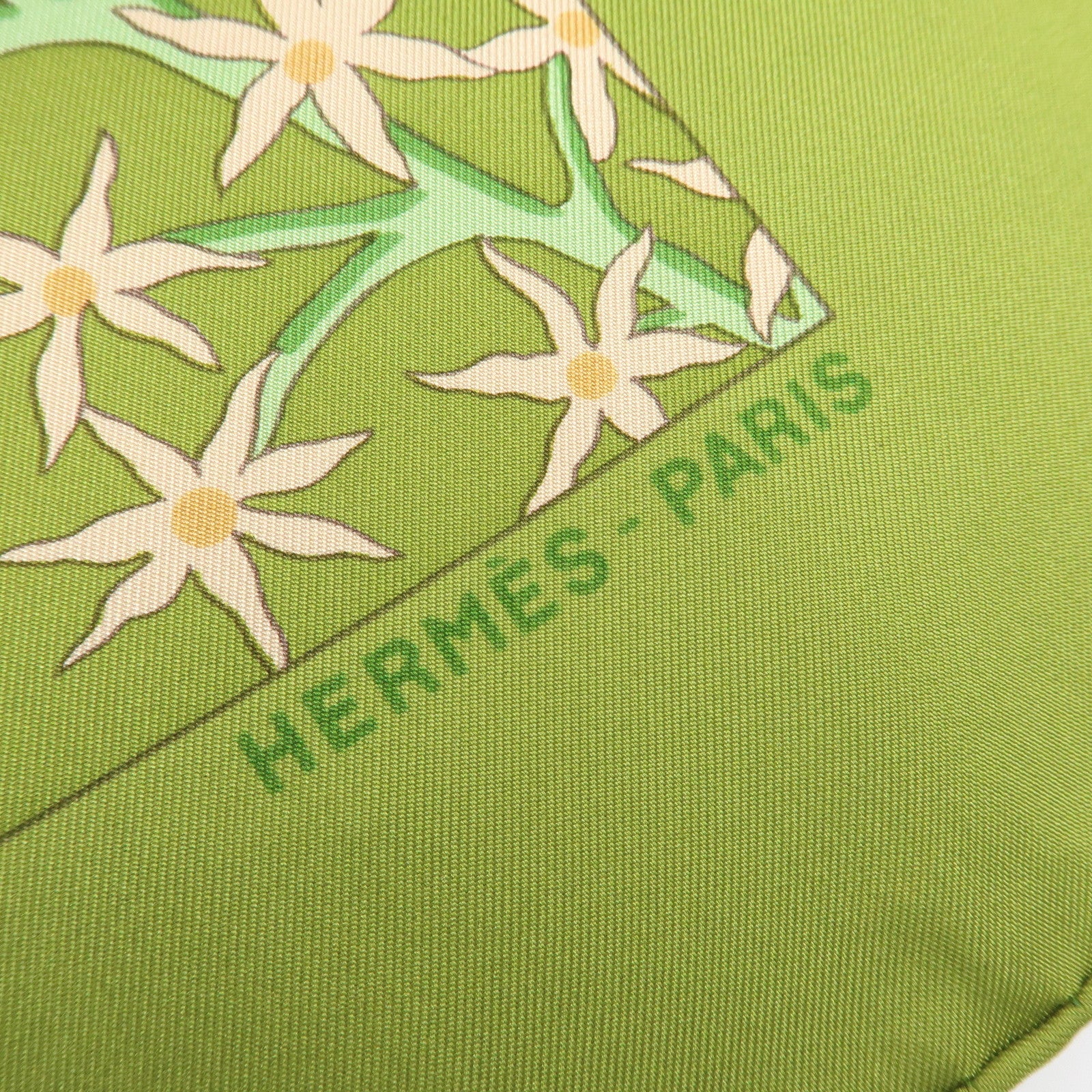 HERMES Carre 90 Silk 100% Scarf AXIS MUNDI Green Brown
