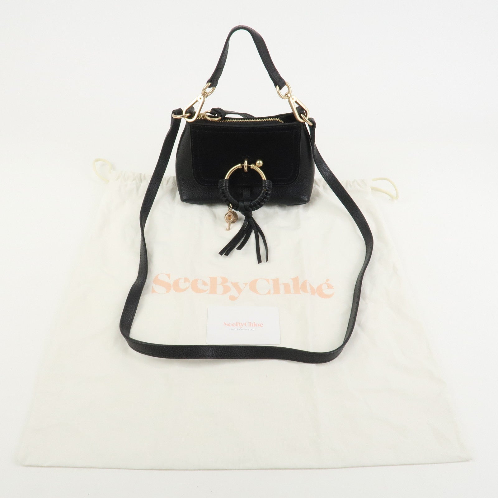 Chloe See by Chloe Joan 2WAY Bag Shoulder Bag Hand Bag Black