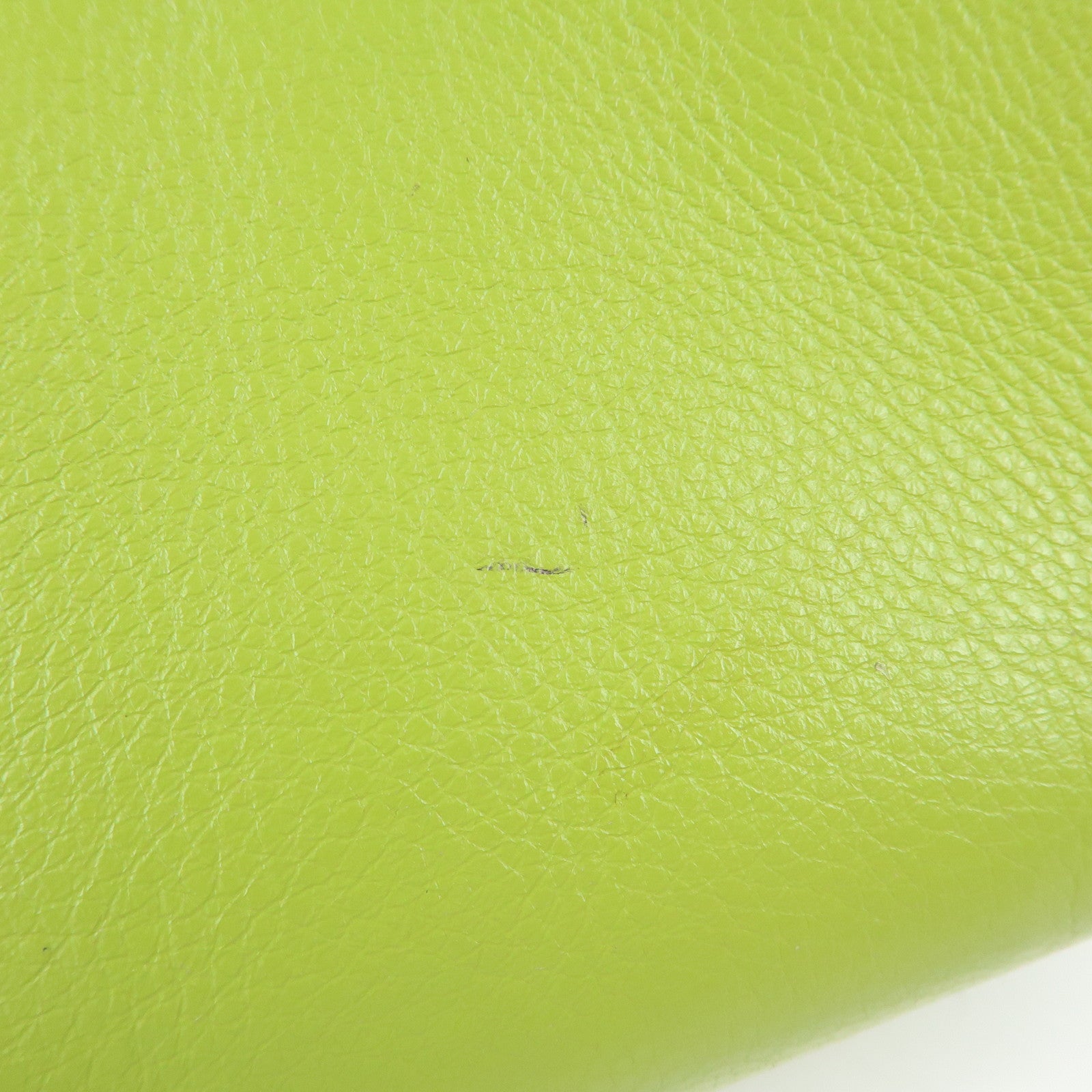 LOEWE Heritage Leather Tote Bag Hand Bag Light Green