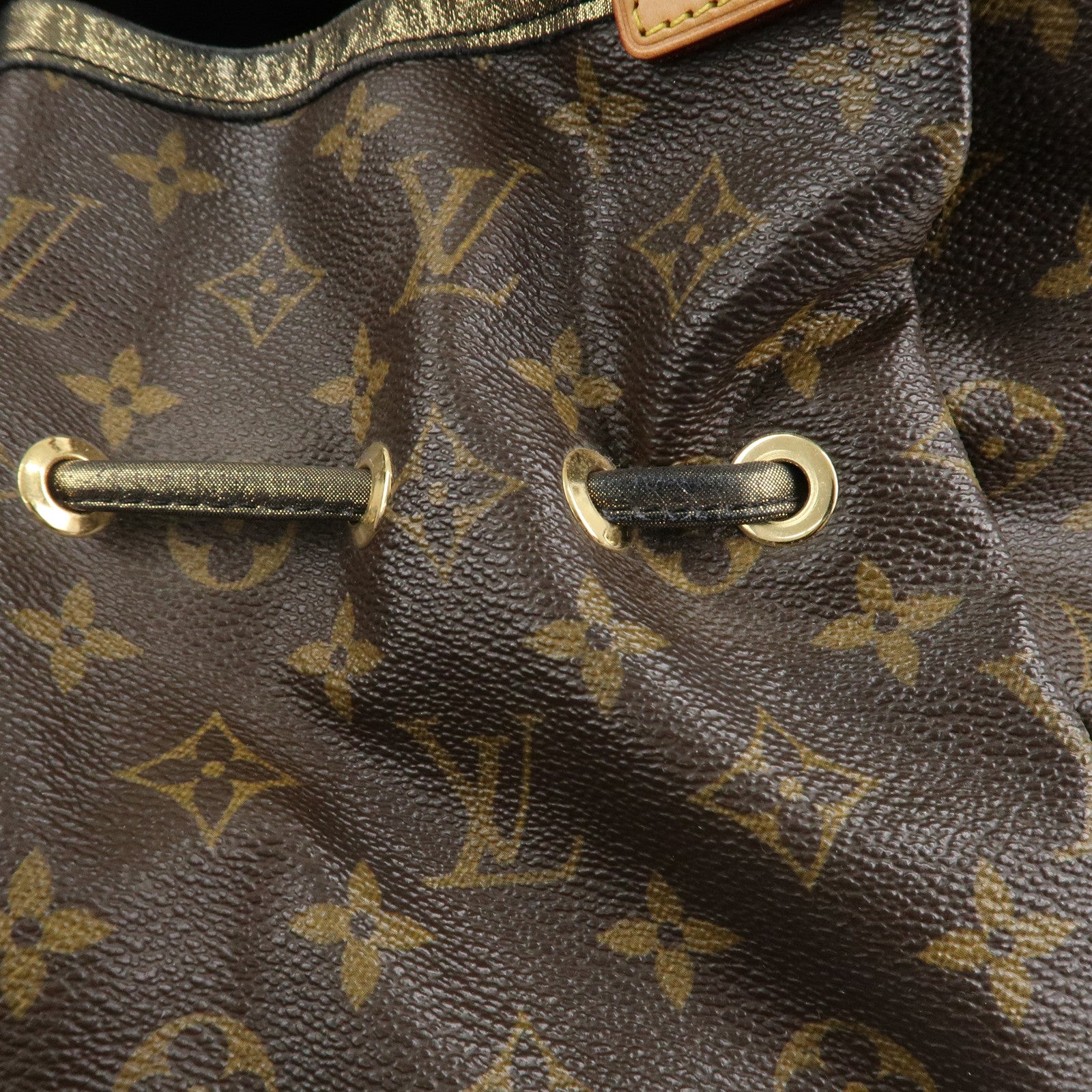 Louis Vuitton Monogram Irene 2009 Pre-Fall Collection M47927 Used
