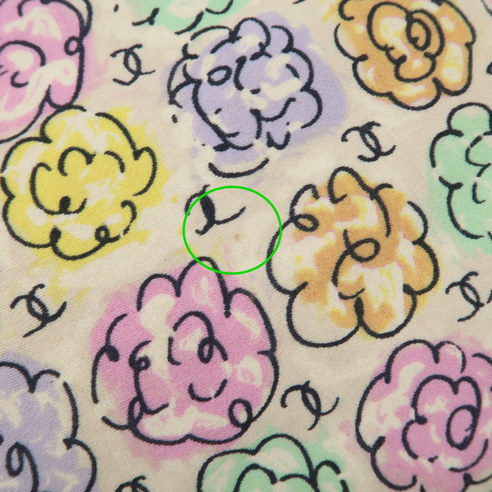 CHANEL Camellia Canvas Nylon 2Way Bag Hand Bag Flower Multicolor Used