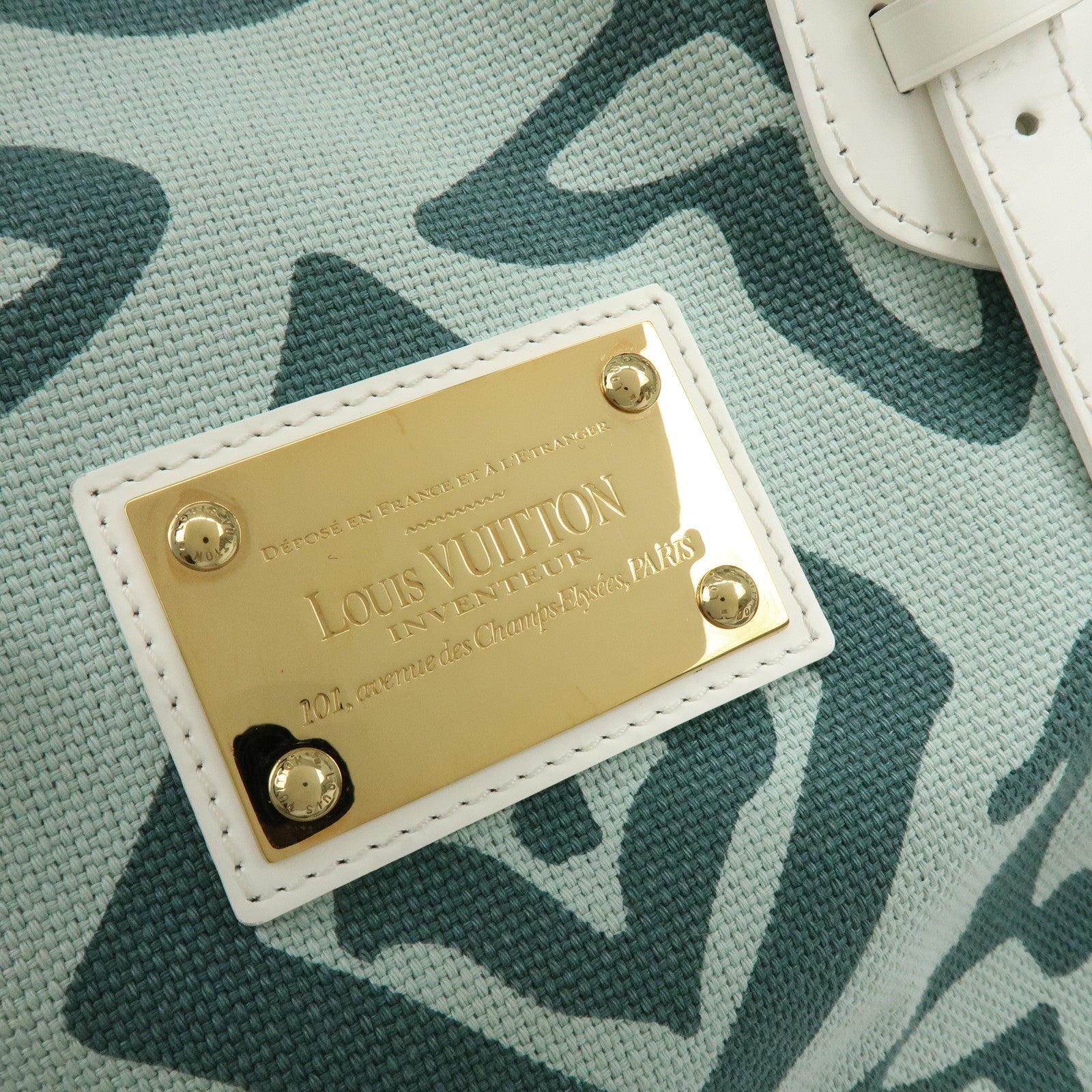 Louis Vuitton Cruise Line Tahitienne PM Canvas Tote Bag M95678