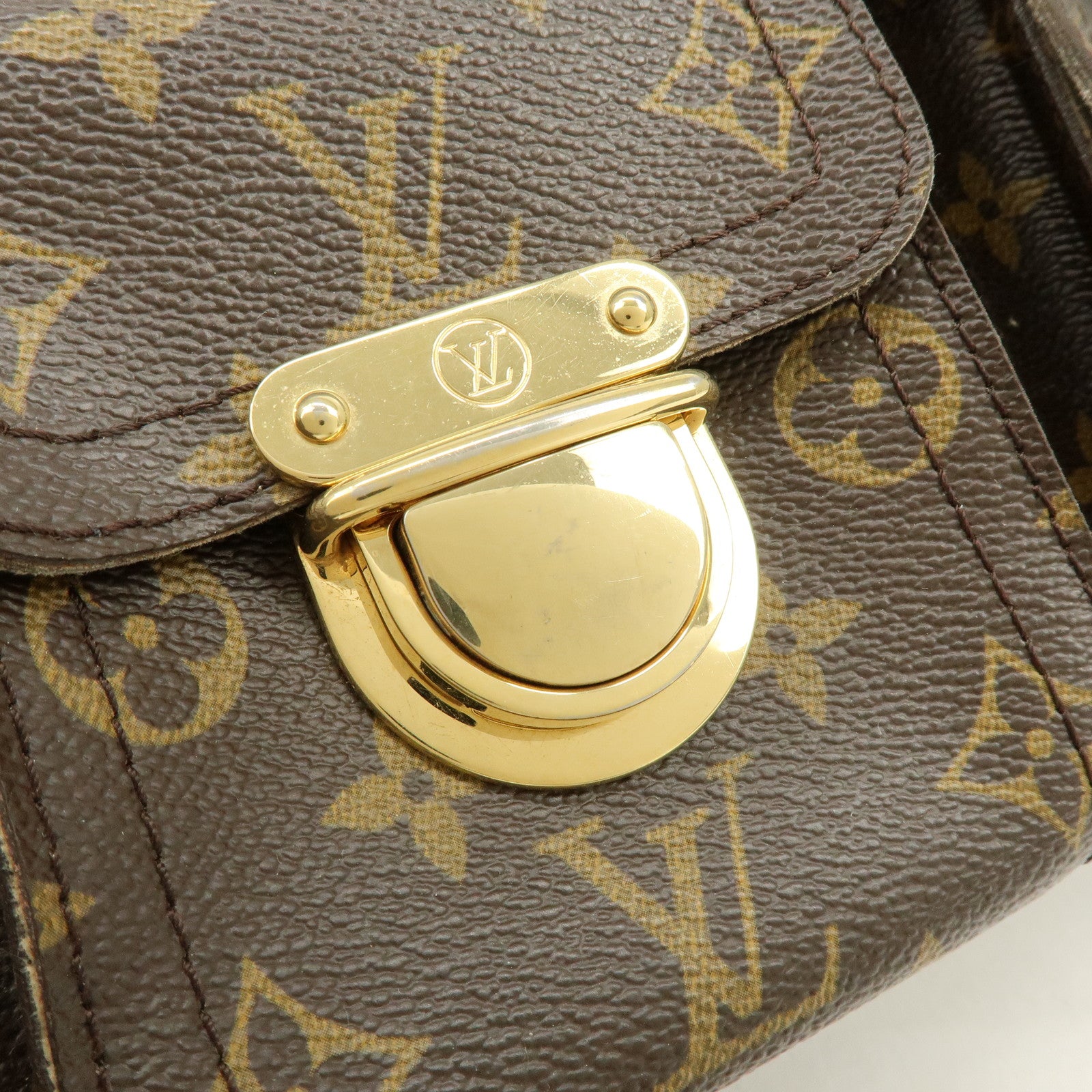 Louis Vuitton Monogram Hudson GM Shoulder Bag Brown M40045