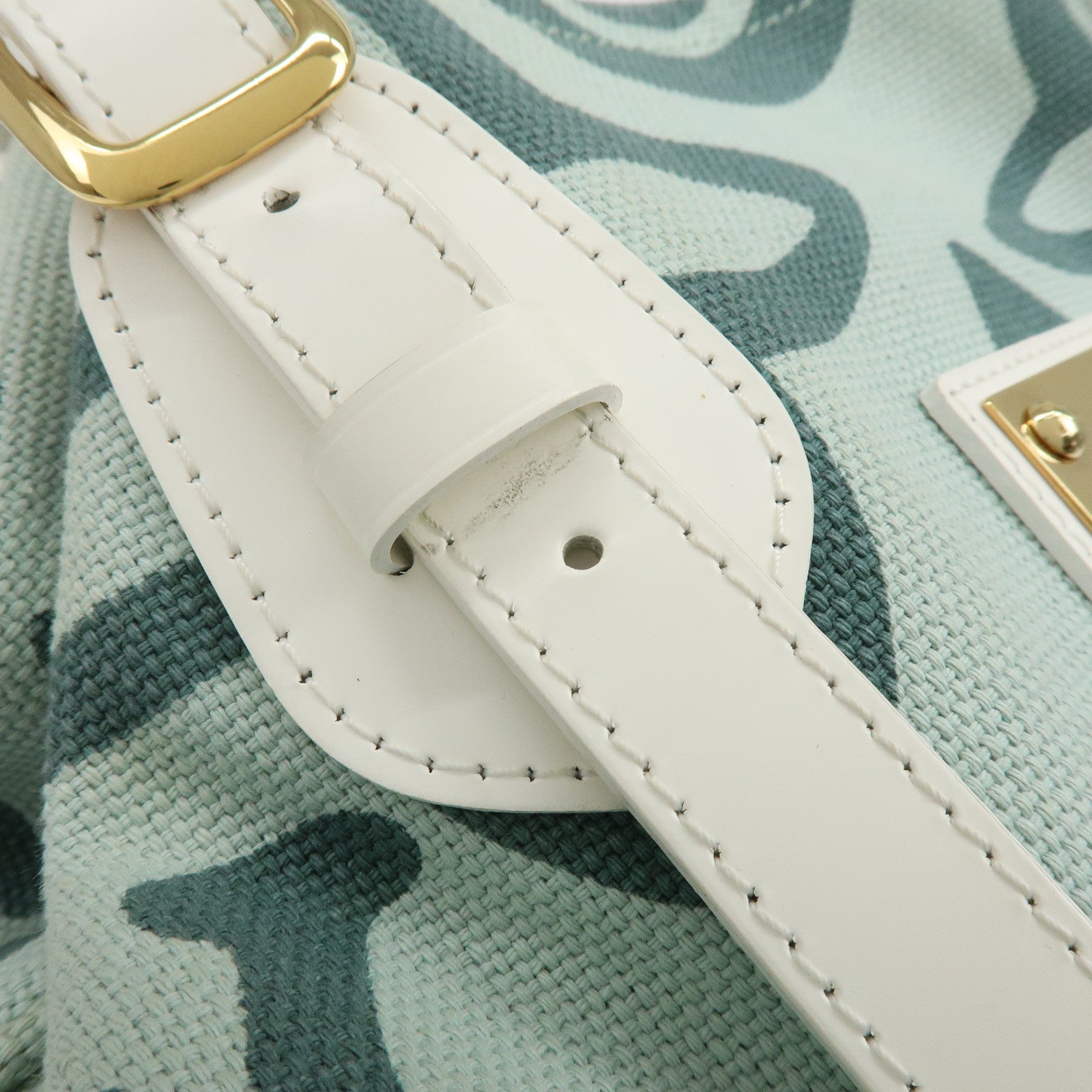 Louis Vuitton Cruise Line Tahitienne PM Canvas Tote Bag M95678