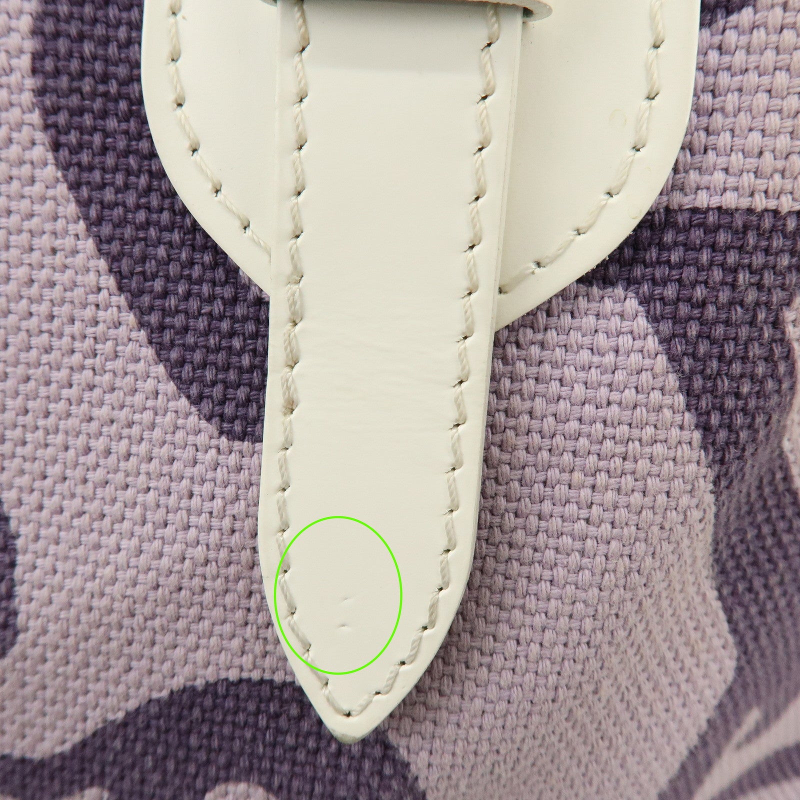 Louis Vuitton Cruise Line Tahitienne PM Canvas Tote Bag Lila M95680