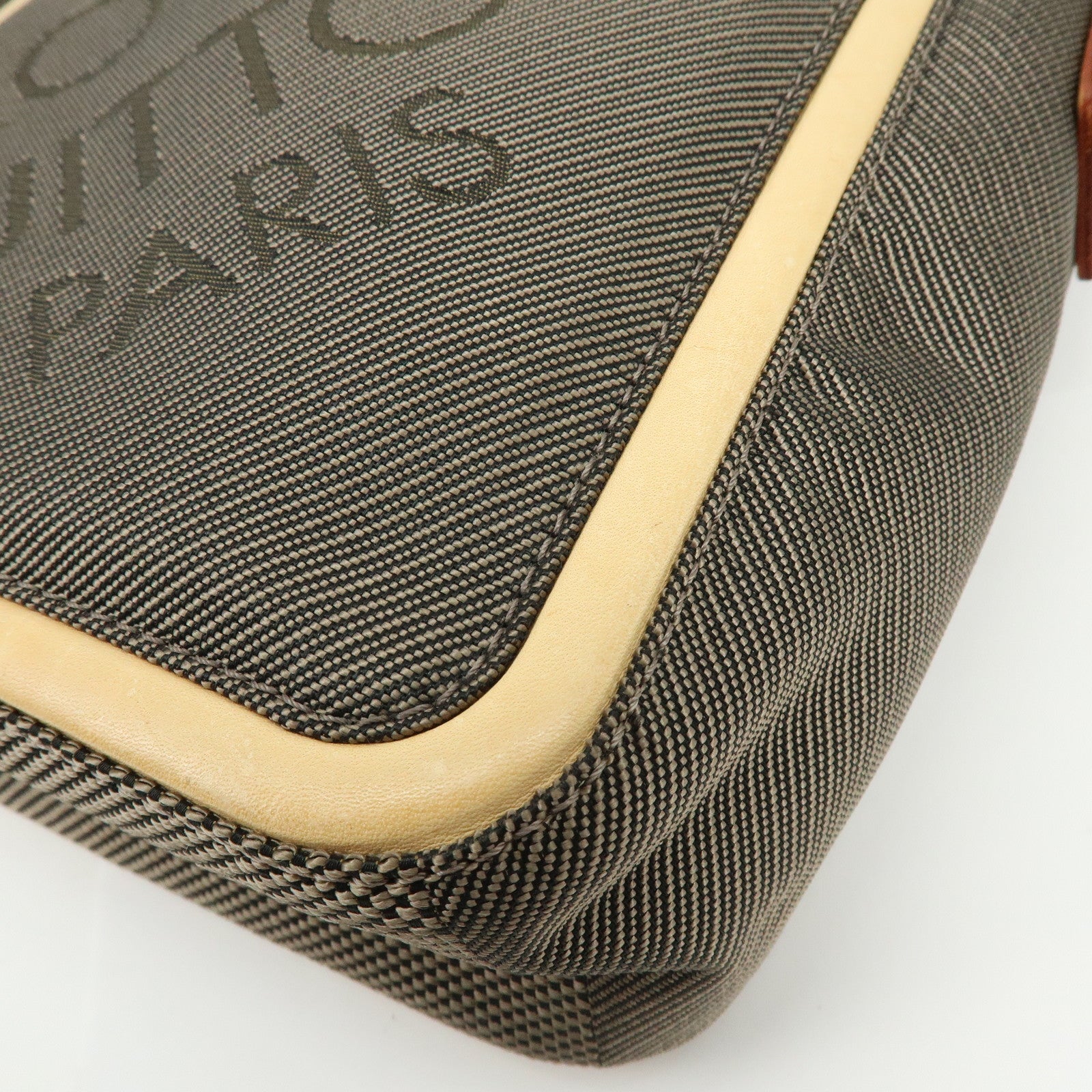 Louis Vuitton Damier Geant Citadin Shoulder Bag Terre M93040