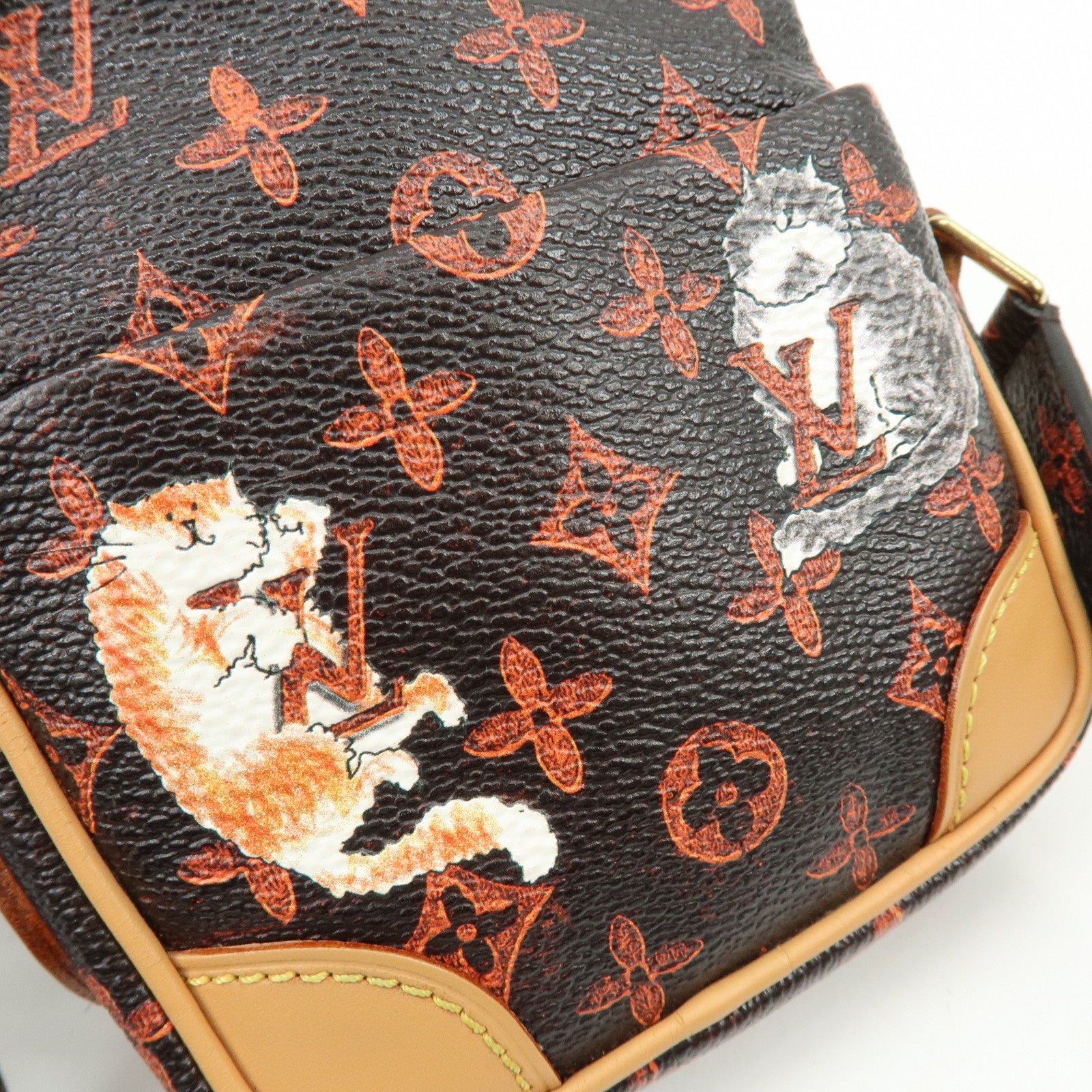 Louis Vuitton Catogram Paname Shoulder Bag Crossbody Brown M44399