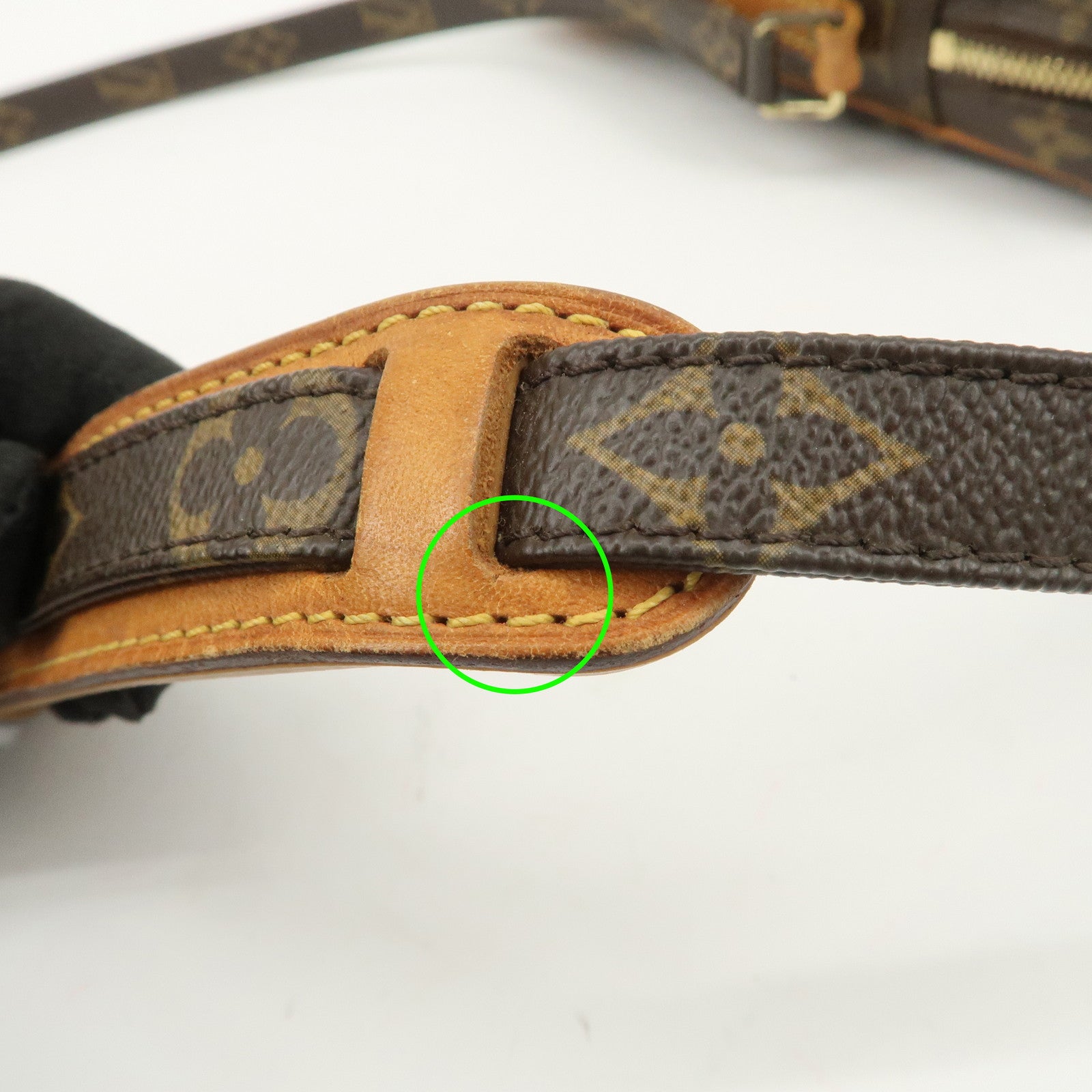 Louis Vuitton Monogram Danube Shoulder Bag Crossbody Bag M45266