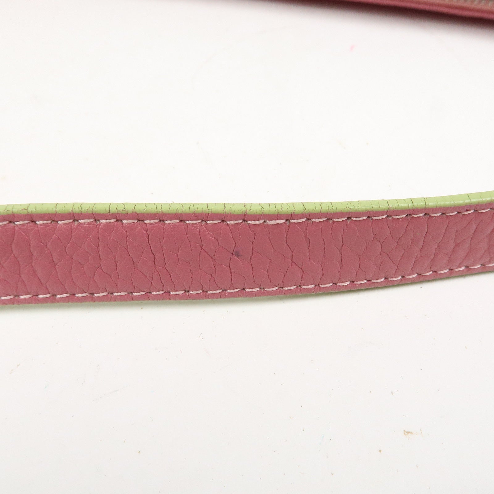 LOEWE Senda Leather Shoulder Bag Crossbody Bag Pink Light Green