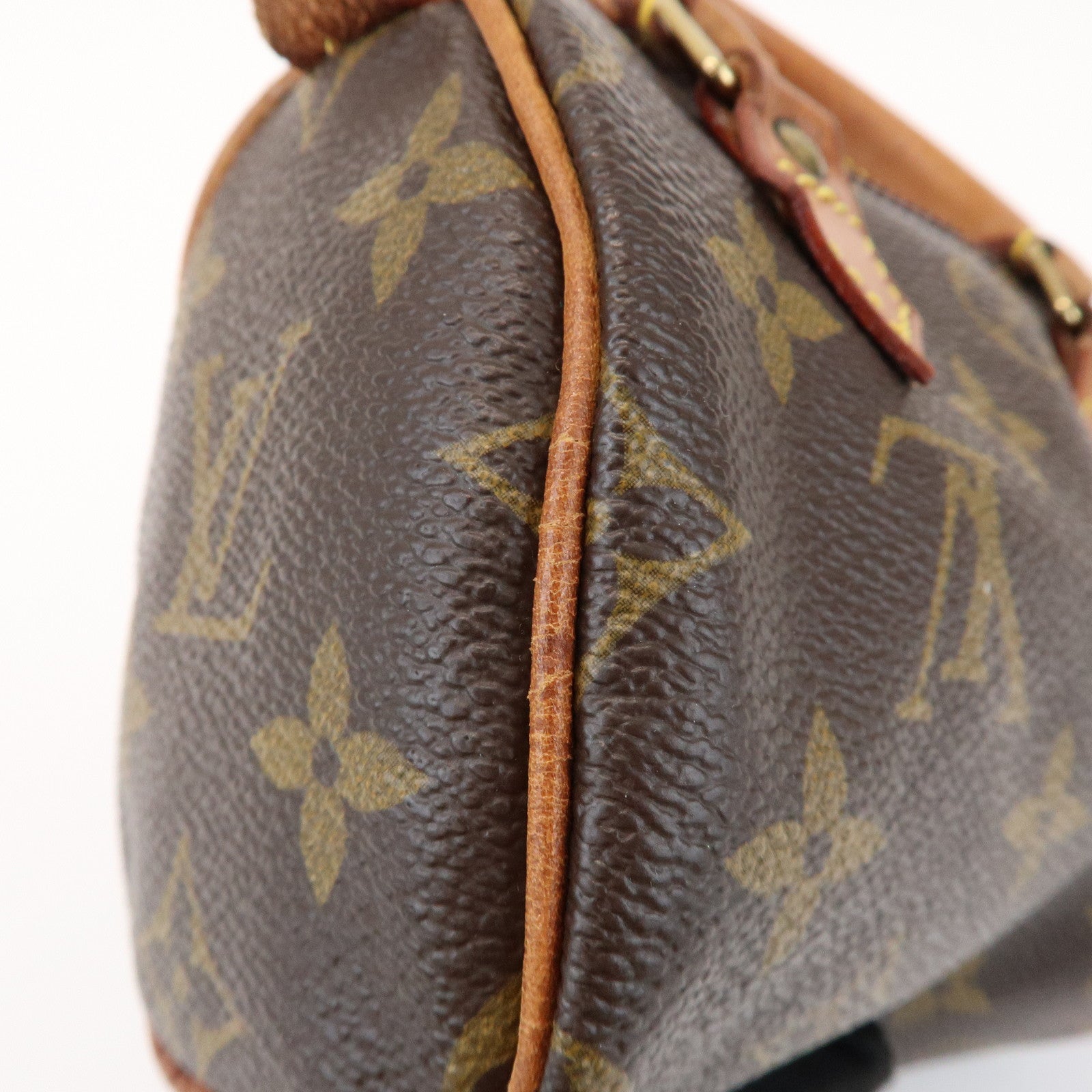 Louis Vuitton Monogram Mini Speedy Hand Bag Boston Bag Brown M41534