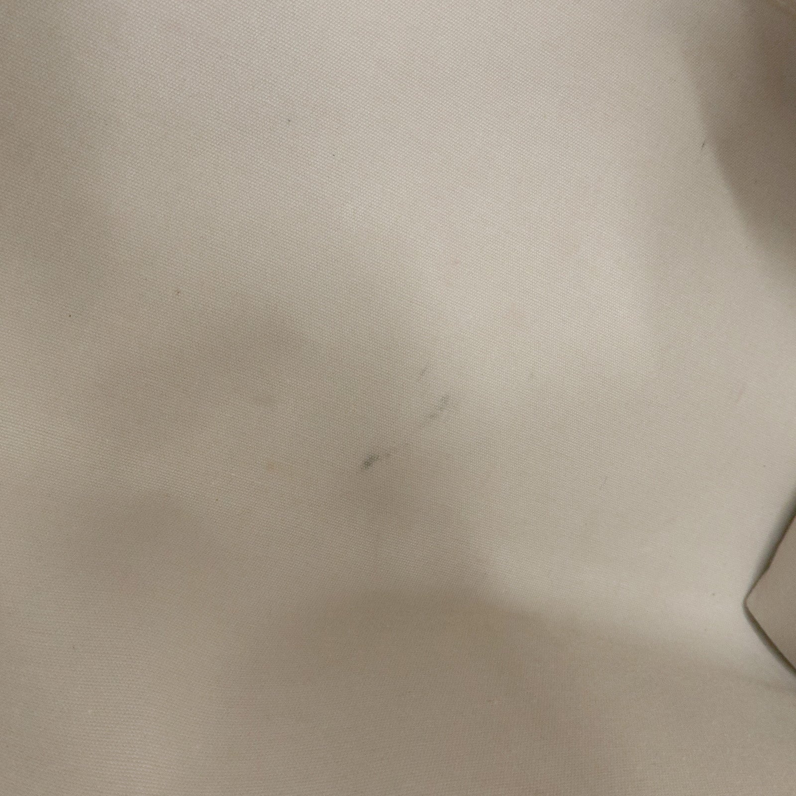 Louis Vuitton Epi Madeleine PM Hand Bag Ivoire White M5933J