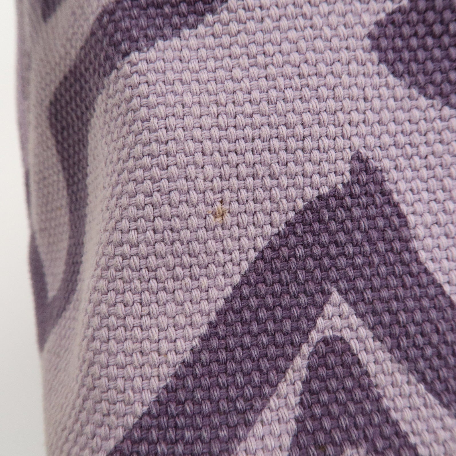 Louis Vuitton Cruise Line Canvas Tahitienne PM Tote Bag M95680 Used