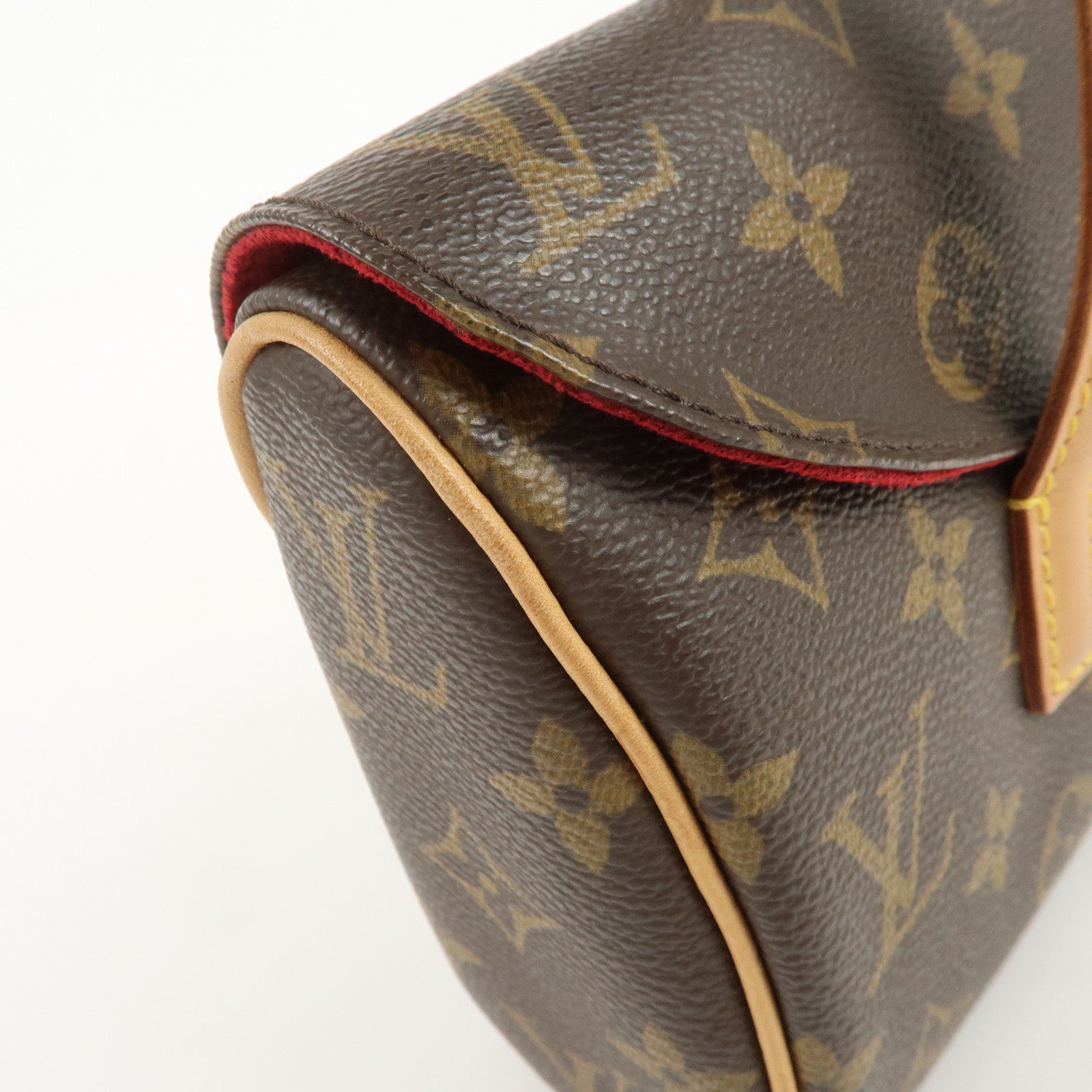 Louis Vuitton Monogram Sonatine Hand Bag Brown M51902