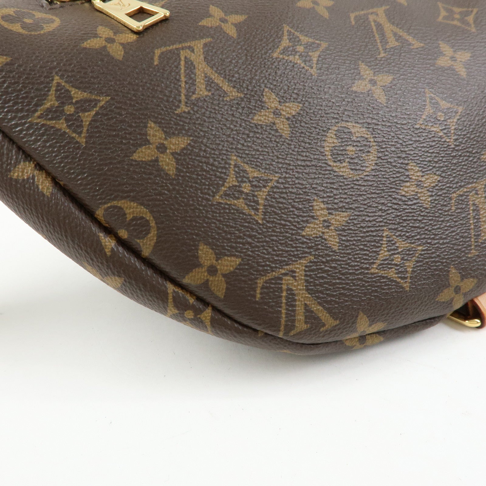Louis Vuitton Monogram Bumbag Crossbody Shoulder Bag Brown M43644