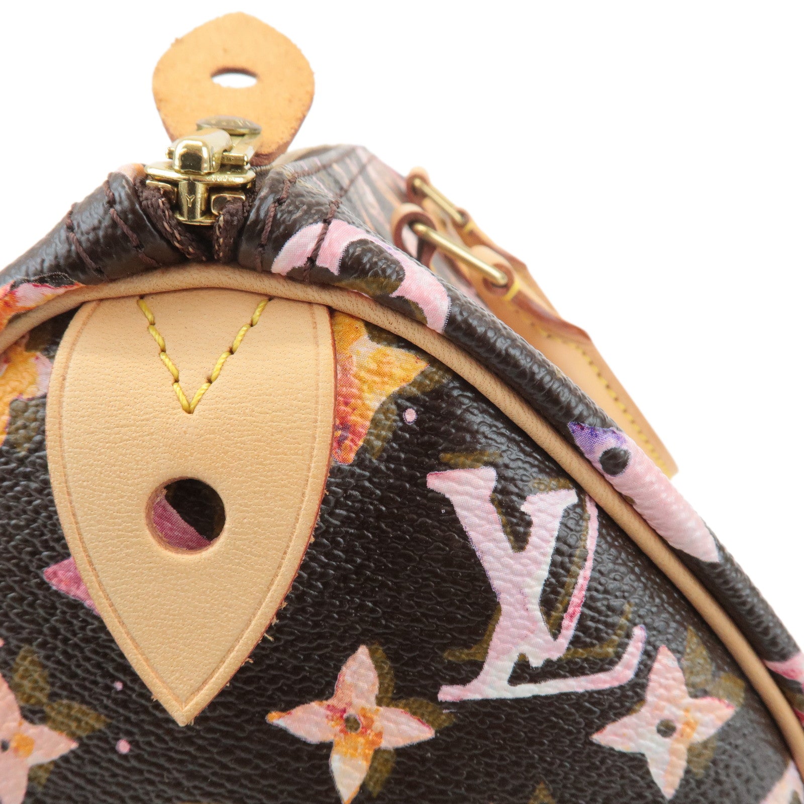 Louis Vuitton Monogram Water Color Speedy 30 Hand Bag Maron M95832 Used
