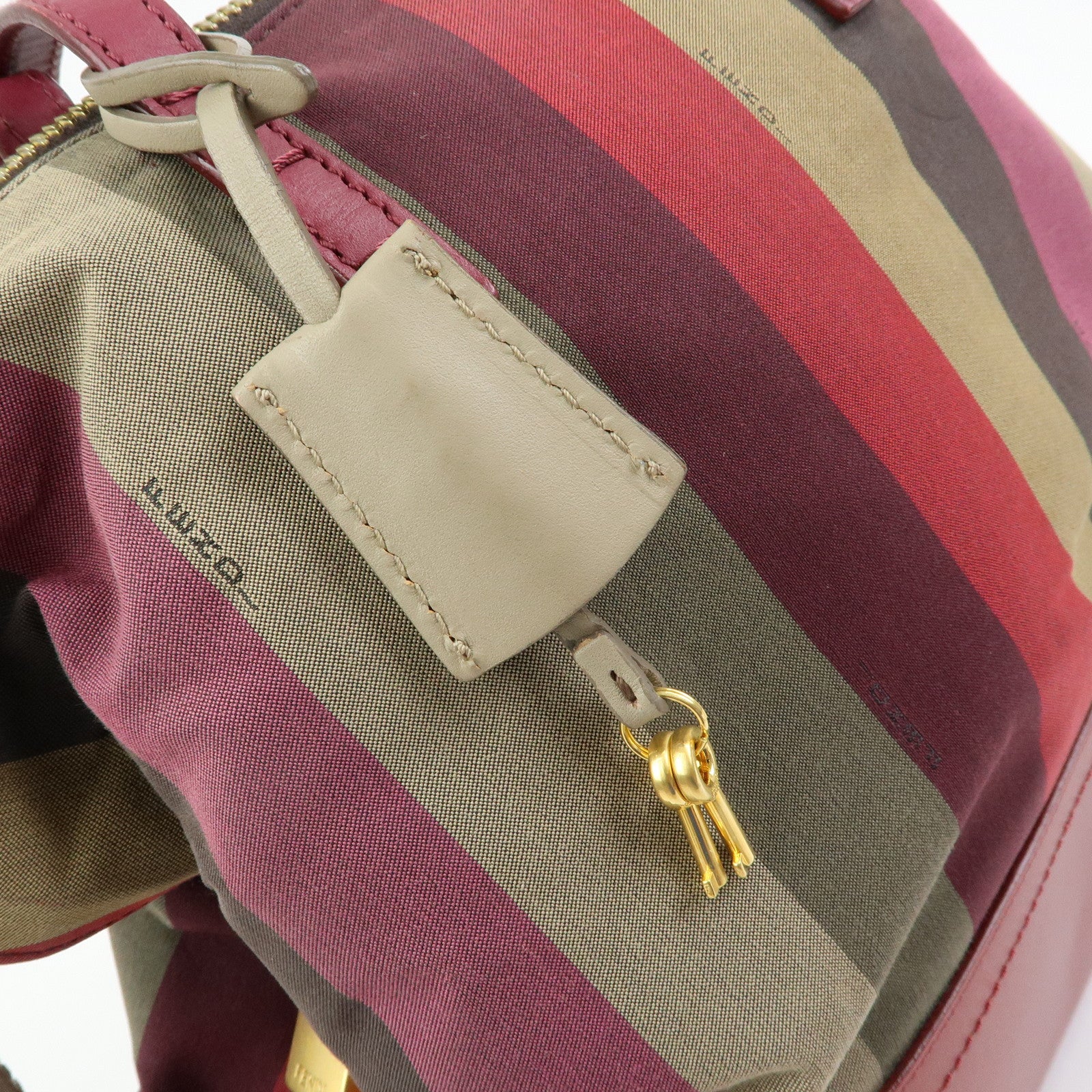 FENDI Chameleon Pequin Canvas Leather Shoulder Bag Tote Bag 8BN232