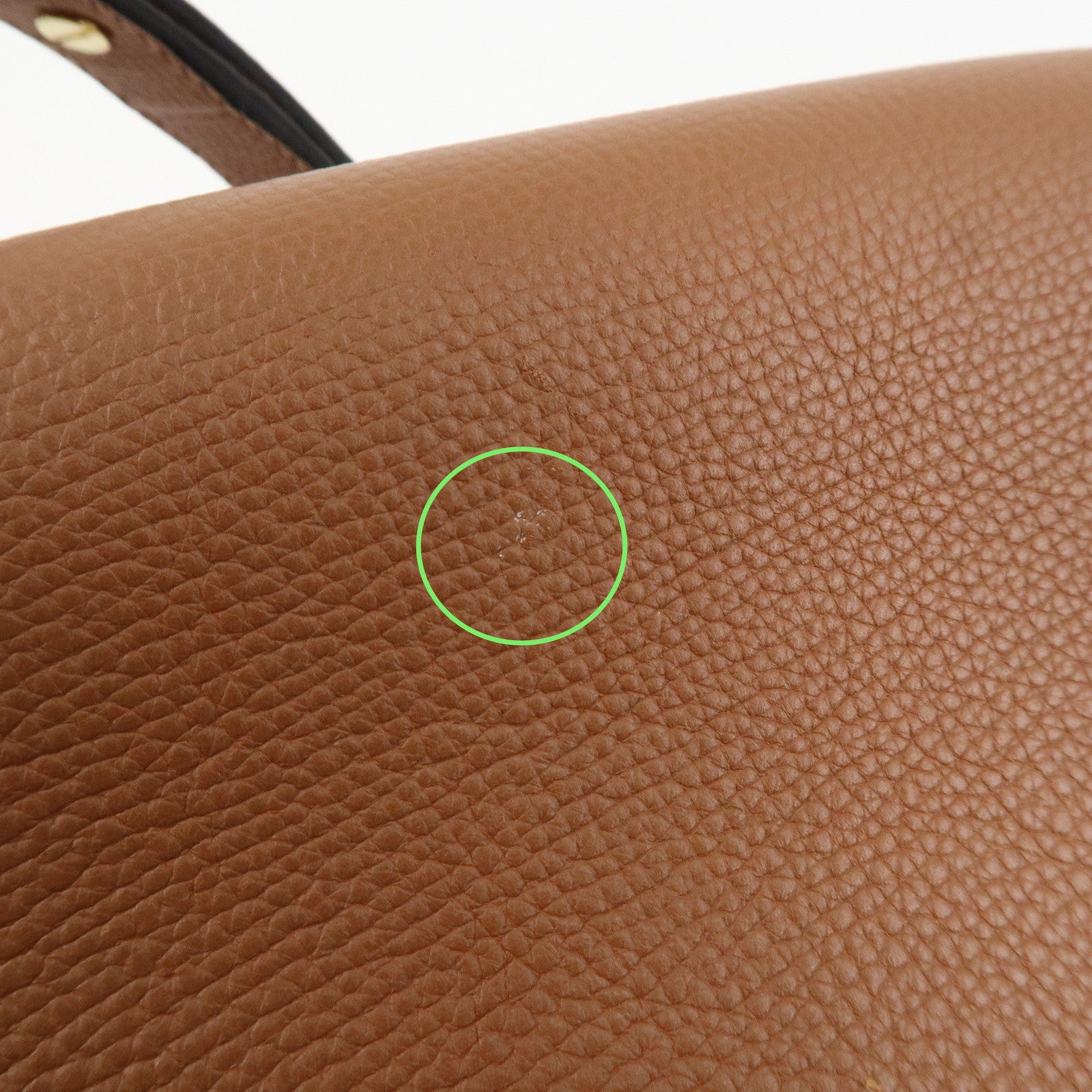 LOEWE Leather Gate Bag Shoulder Bag Brown Gold Hardware Used