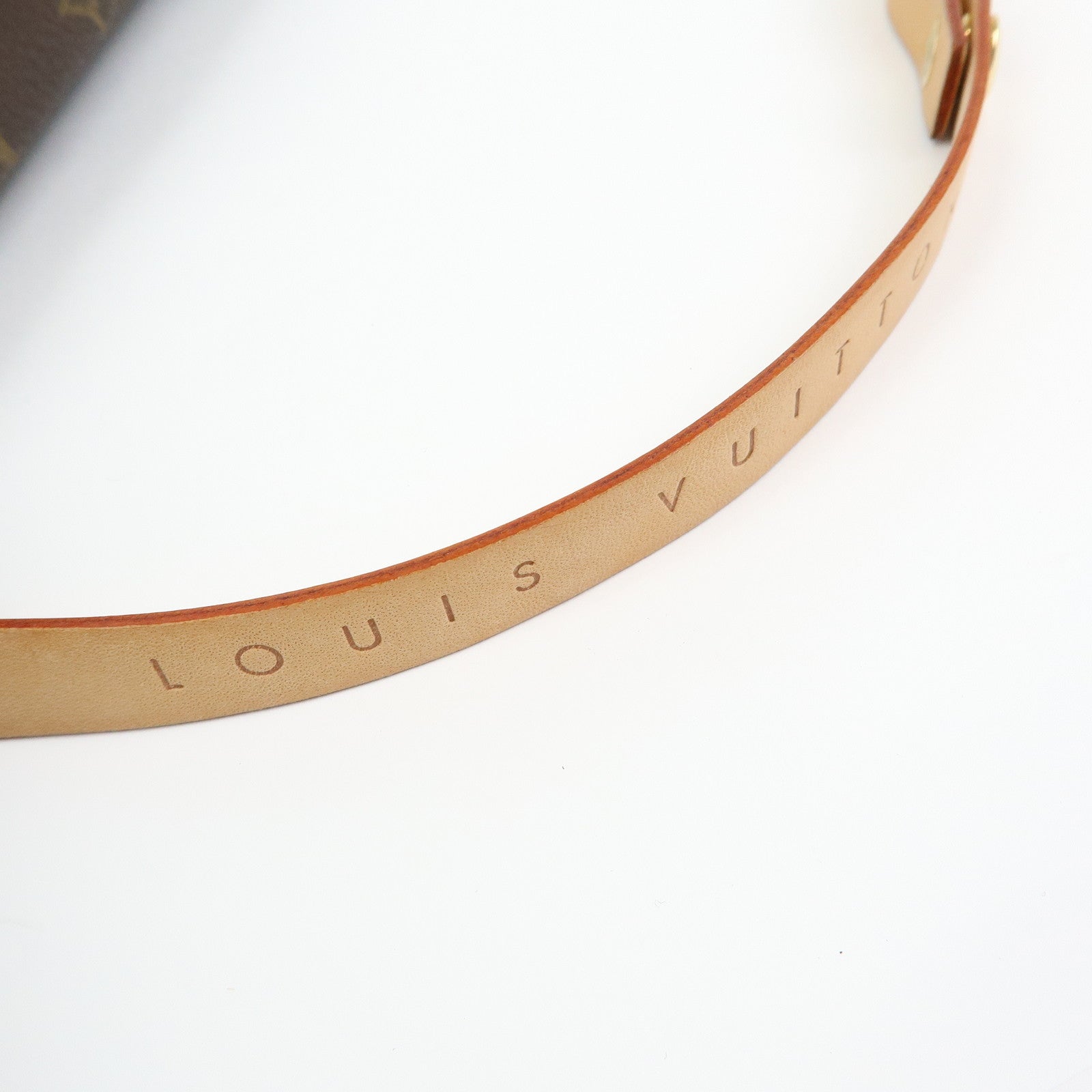 Louis Vuitton Monogram Pochette Florentine Waist Bag Belt M51855