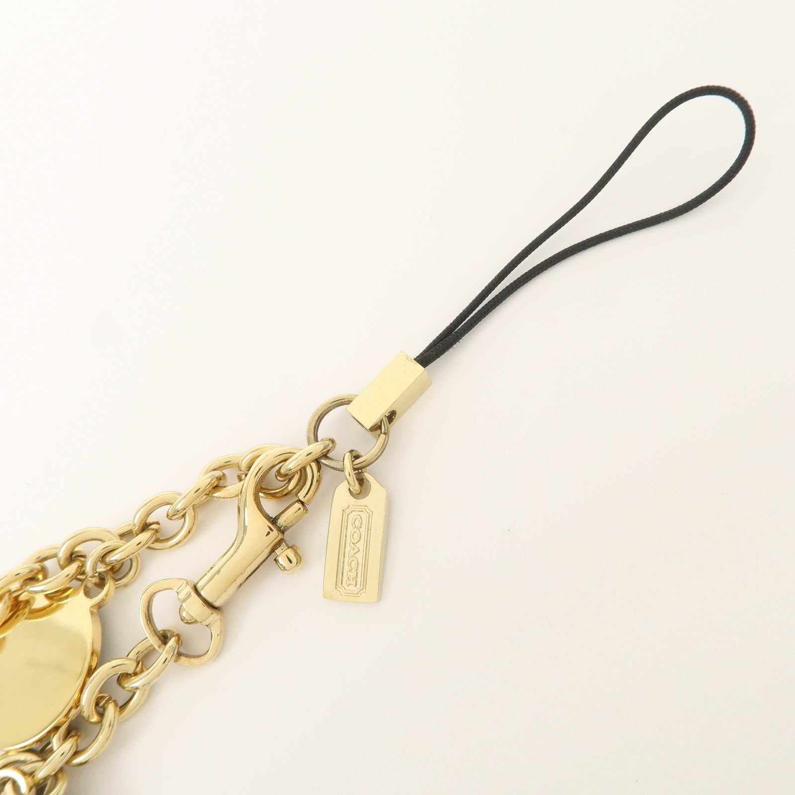 COACH Set Of 3 Bag Charm Key Charm Metal Multicolor Fruits