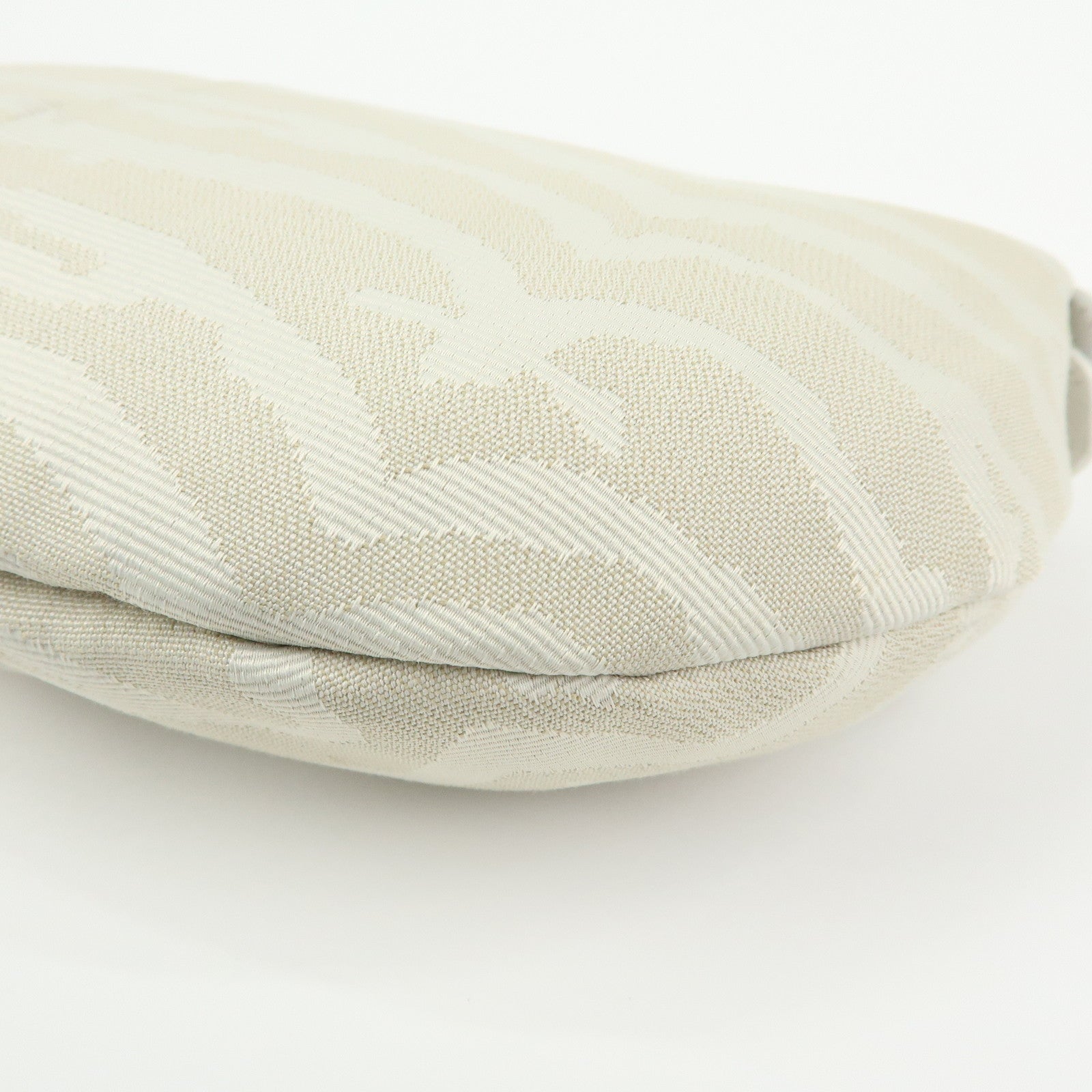 FENDI Canvas Leather Hand Bag Shoulder Bag Light Beige White 8BR391