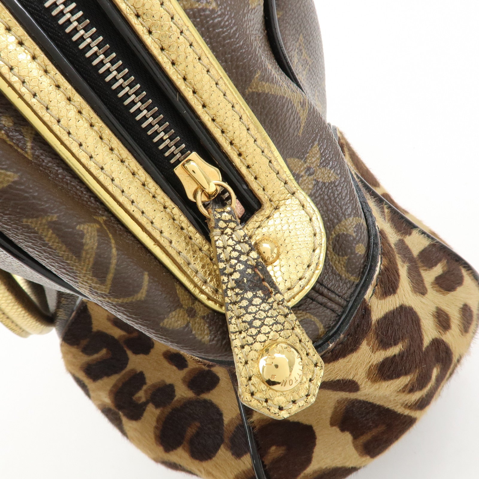 Louis Vuitton Adele Monogram Leopard Calf Leather 2 Way bag M95284