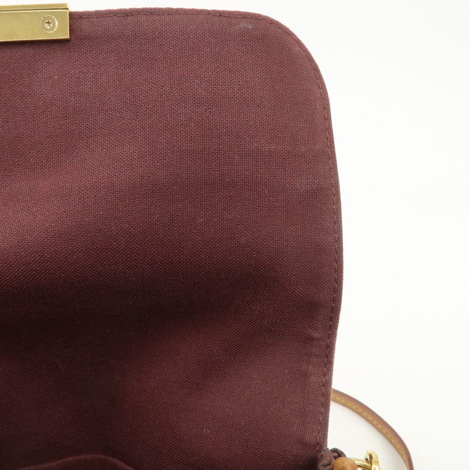 Louis Vuitton Monogram Favorite MM 2way Bag Shoulder Bag M40718