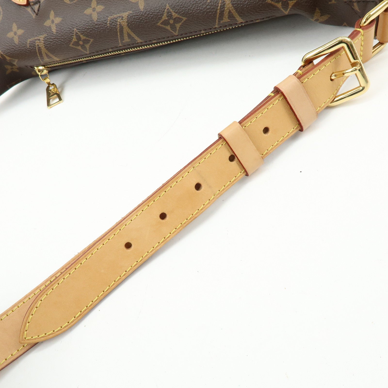 Louis Vuitton Monogram Bumbag Crossbody Shoulder Bag Brown M43644