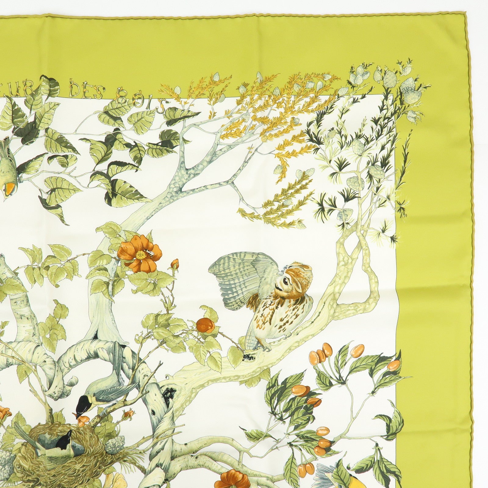 HERMES Carre 90 Silk 100% Scarf AU COEUR DESBOIS Light Green