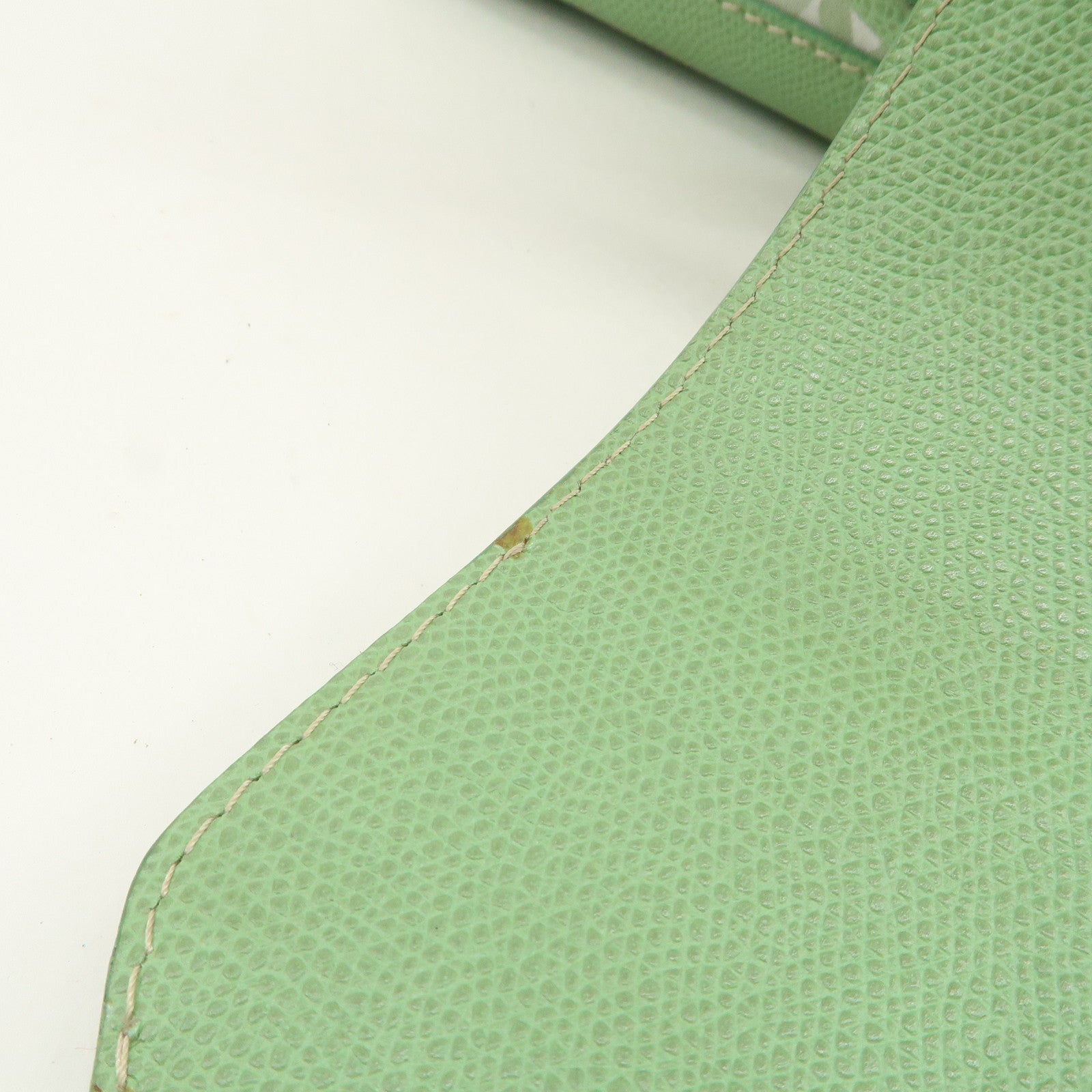 LOEWE Anagram Canvas Leather Hand Bag Light Green