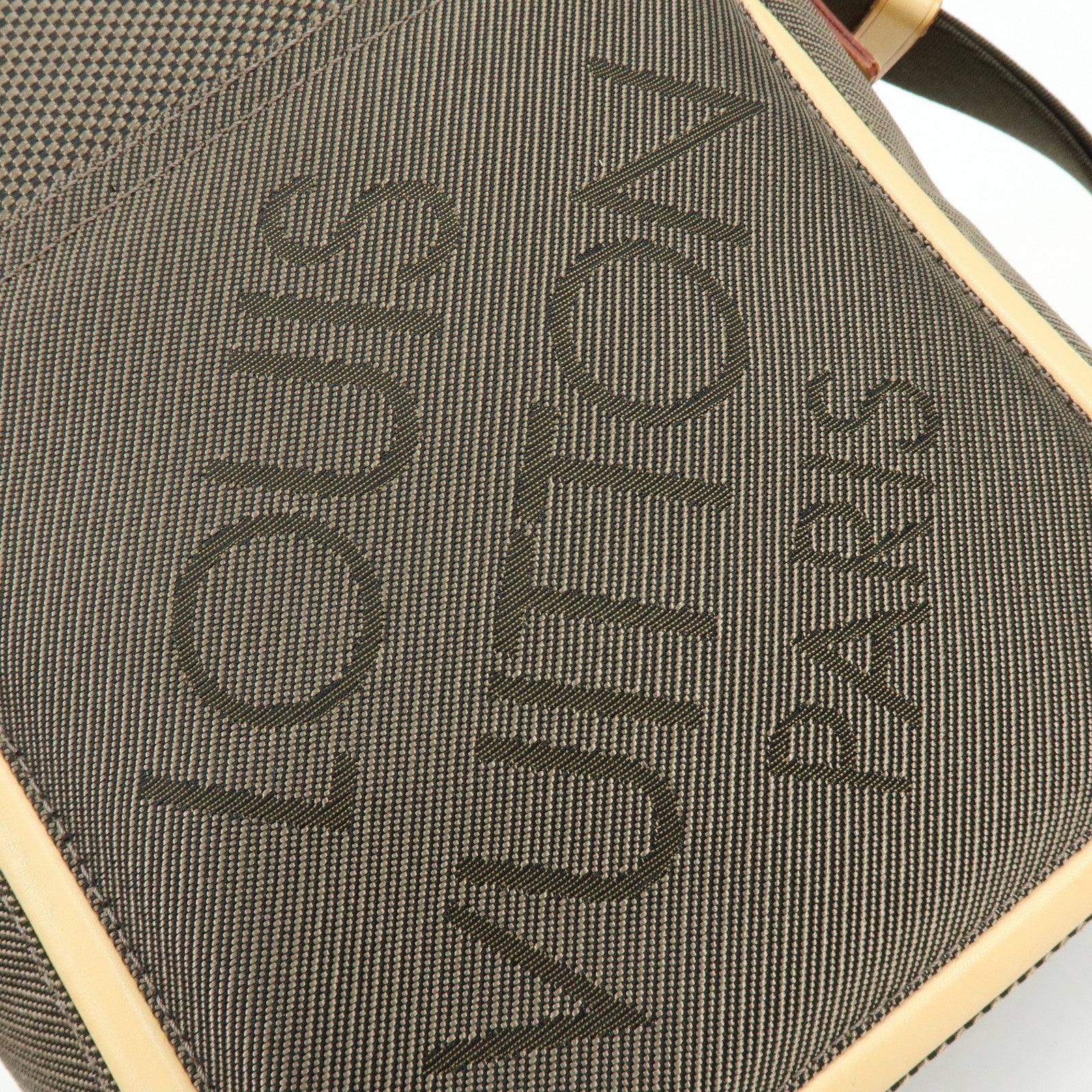 Louis Vuitton Damier Geant Citadin Shoulder Bag Terre M93040