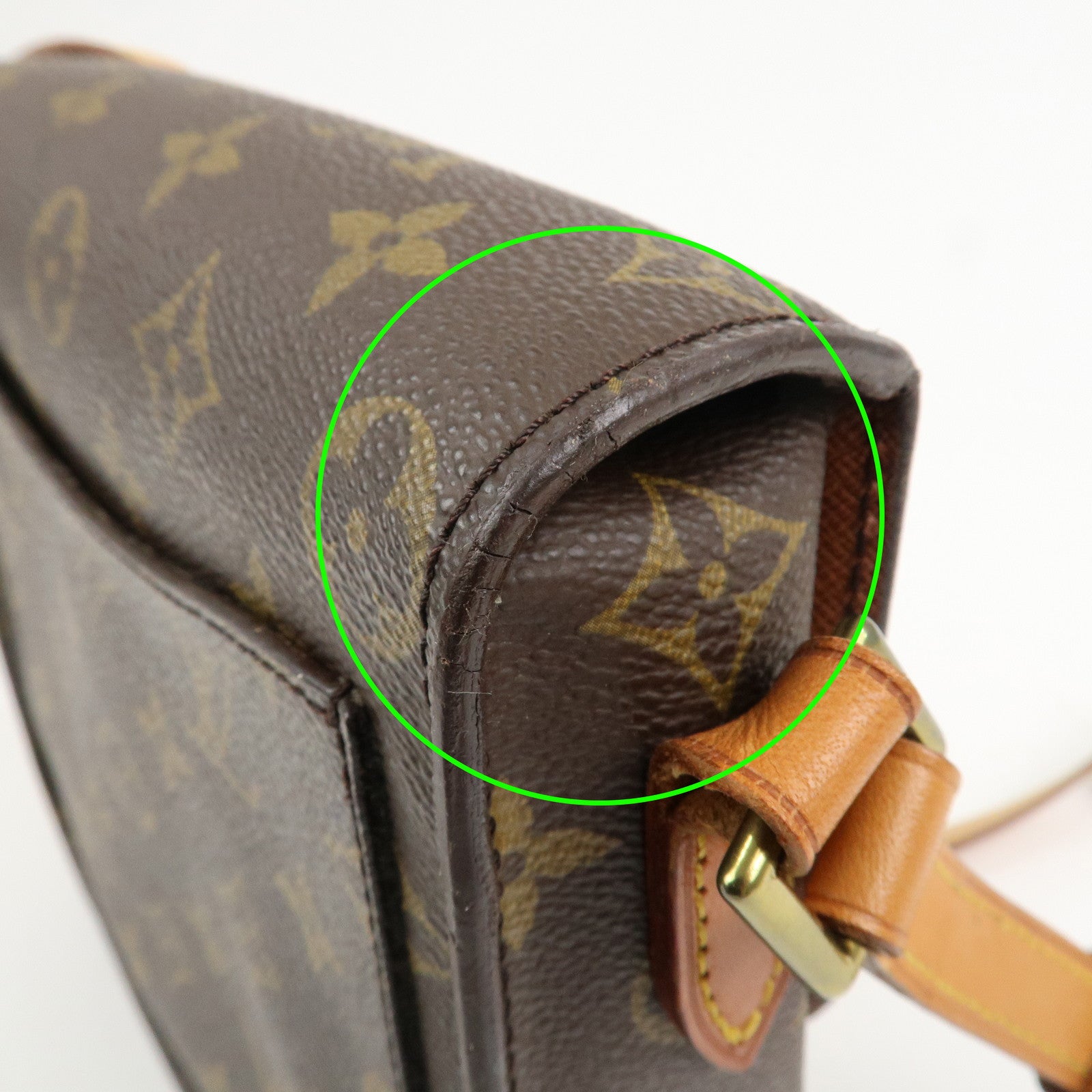 Louis Vuitton Monogram Mini Saint Cloud PM Shoulder Bag M51244
