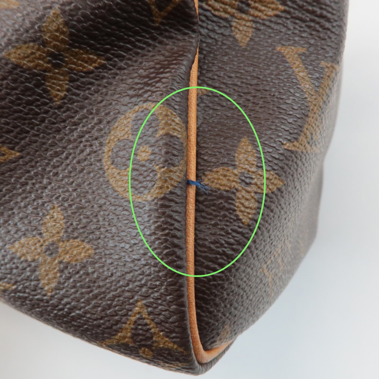 Louis Vuitton Monogram Speedy 25 Hand Bag Boston Bag M41528