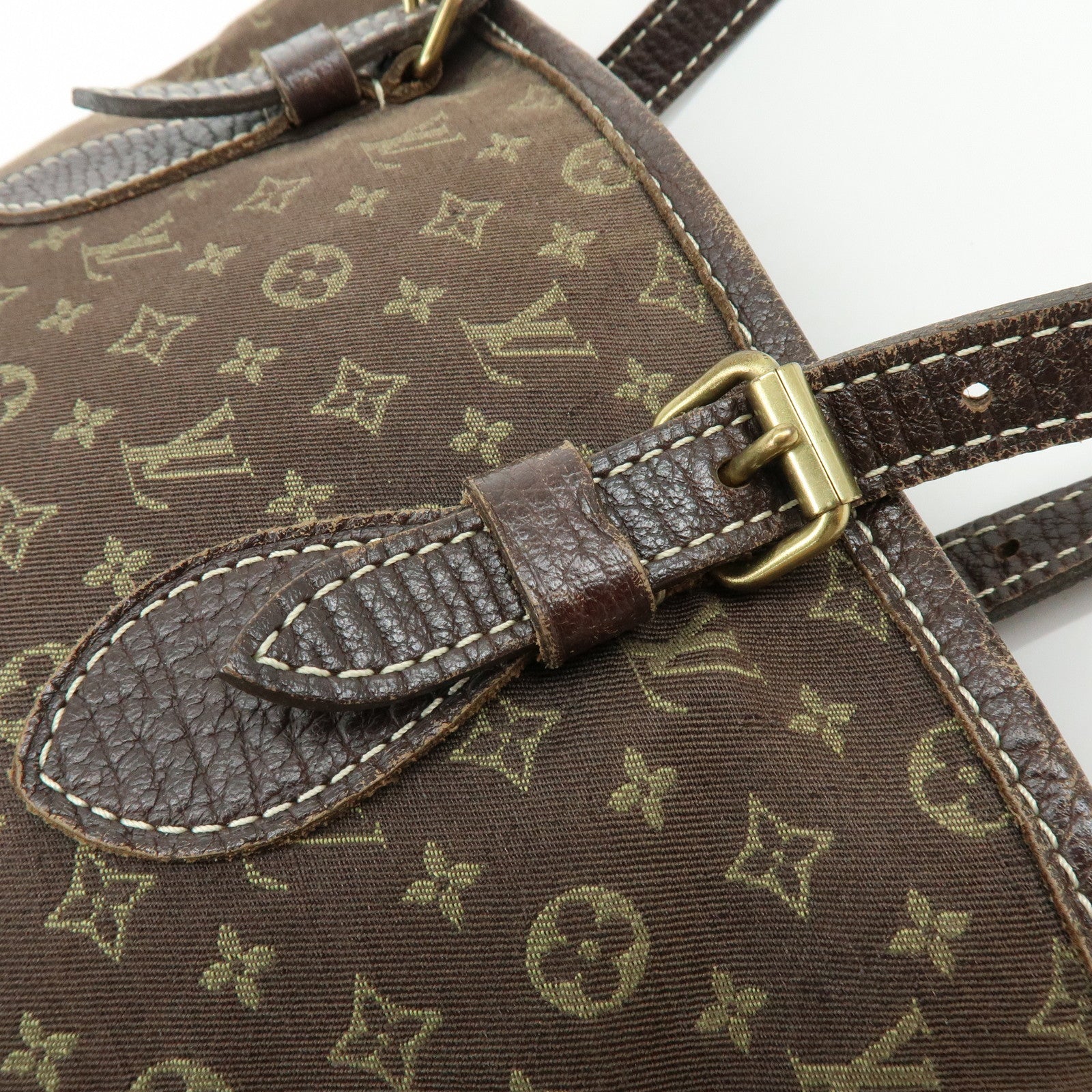 Louis Vuitton Monogram Mini Lin Bucket PM Tote Bag Ebene M95226