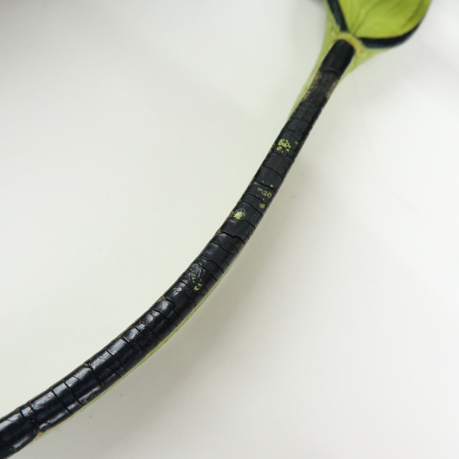 LOEWE Heritage Leather Tote Bag Hand Bag Light Green