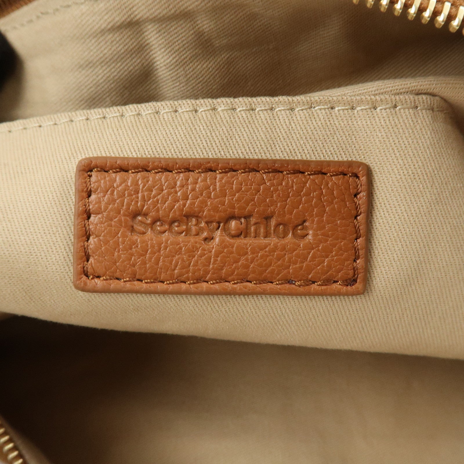 Chloe See By Chloe Hana Suede Leather Shoulder Crossbody Bag Brown