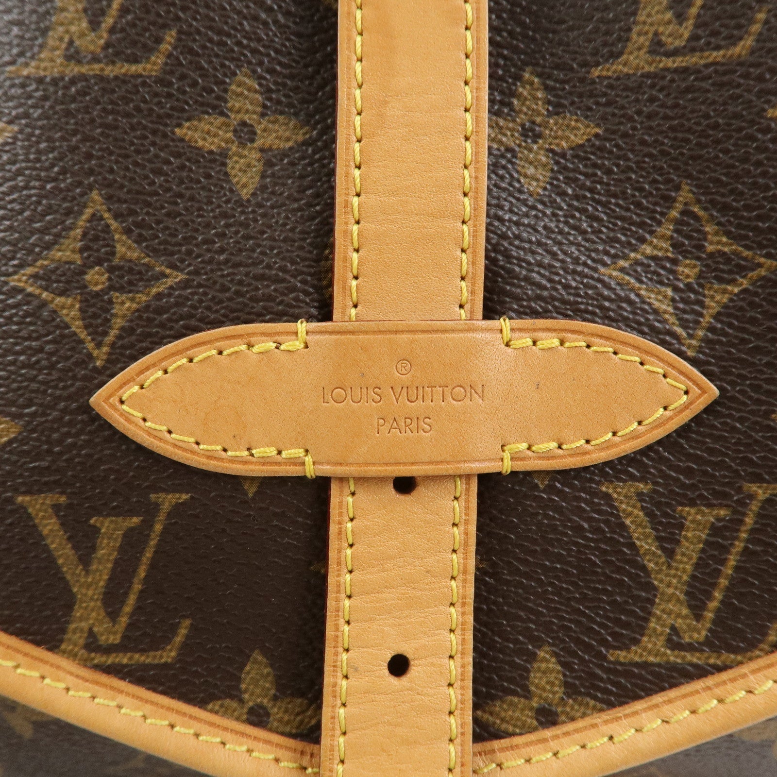 Louis Vuitton Monogram Saumur 30 Shoulder Bag Brown M42256