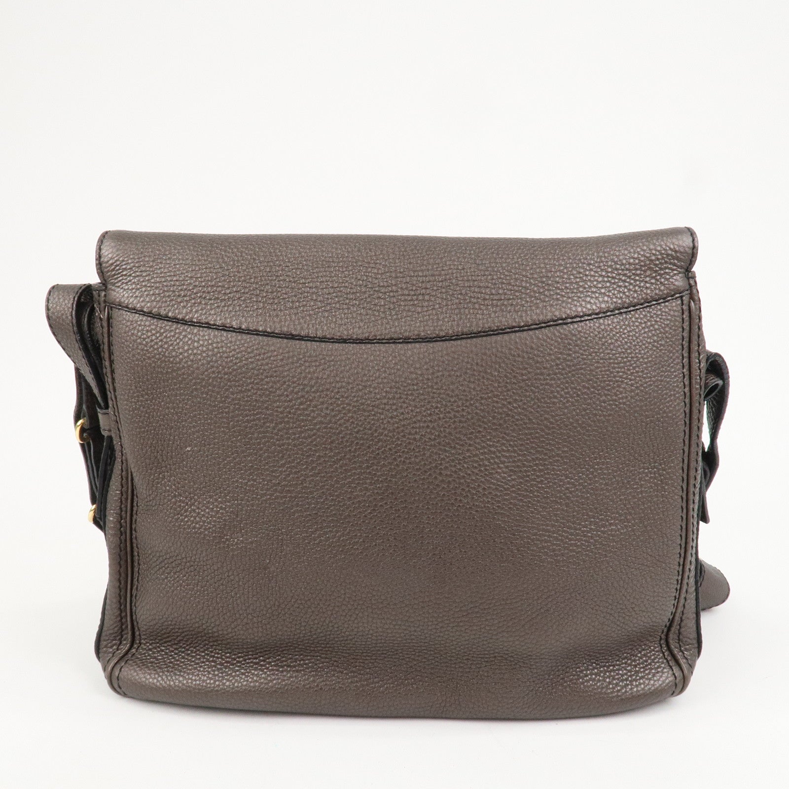 CELINE Leather Shoulder Bag Crossbody Bag Gray Gold HDW